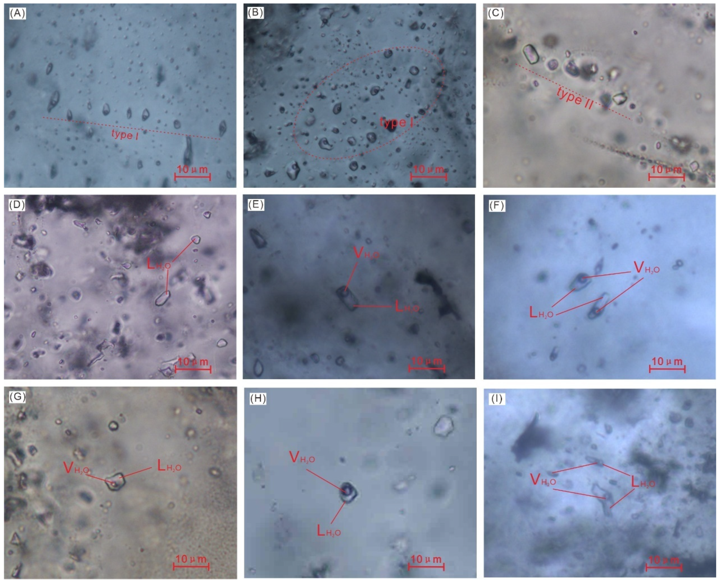 Minerals 13 01196 g005