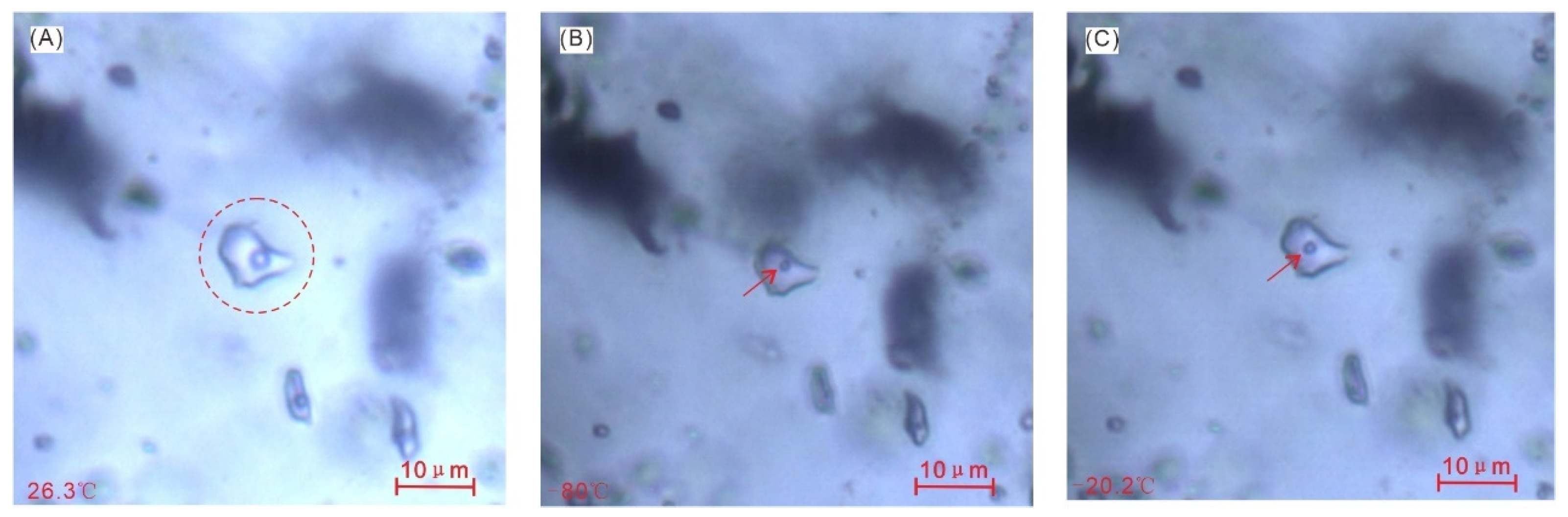 Minerals 13 01196 g006