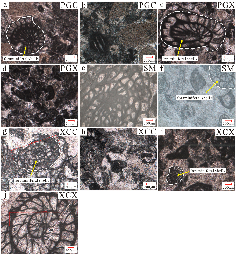 Minerals 13 01201 g003