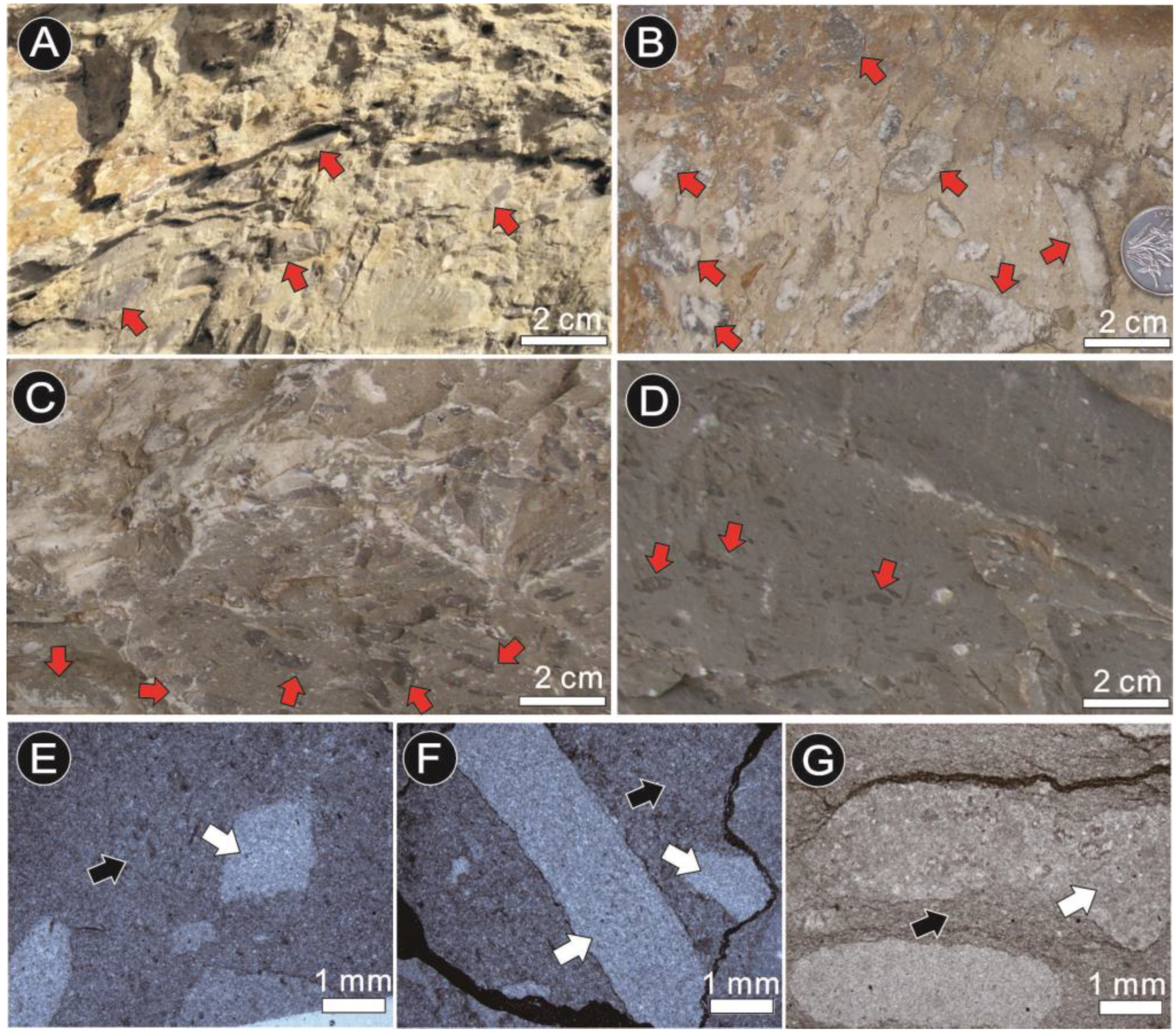 Minerals 13 01222 g005