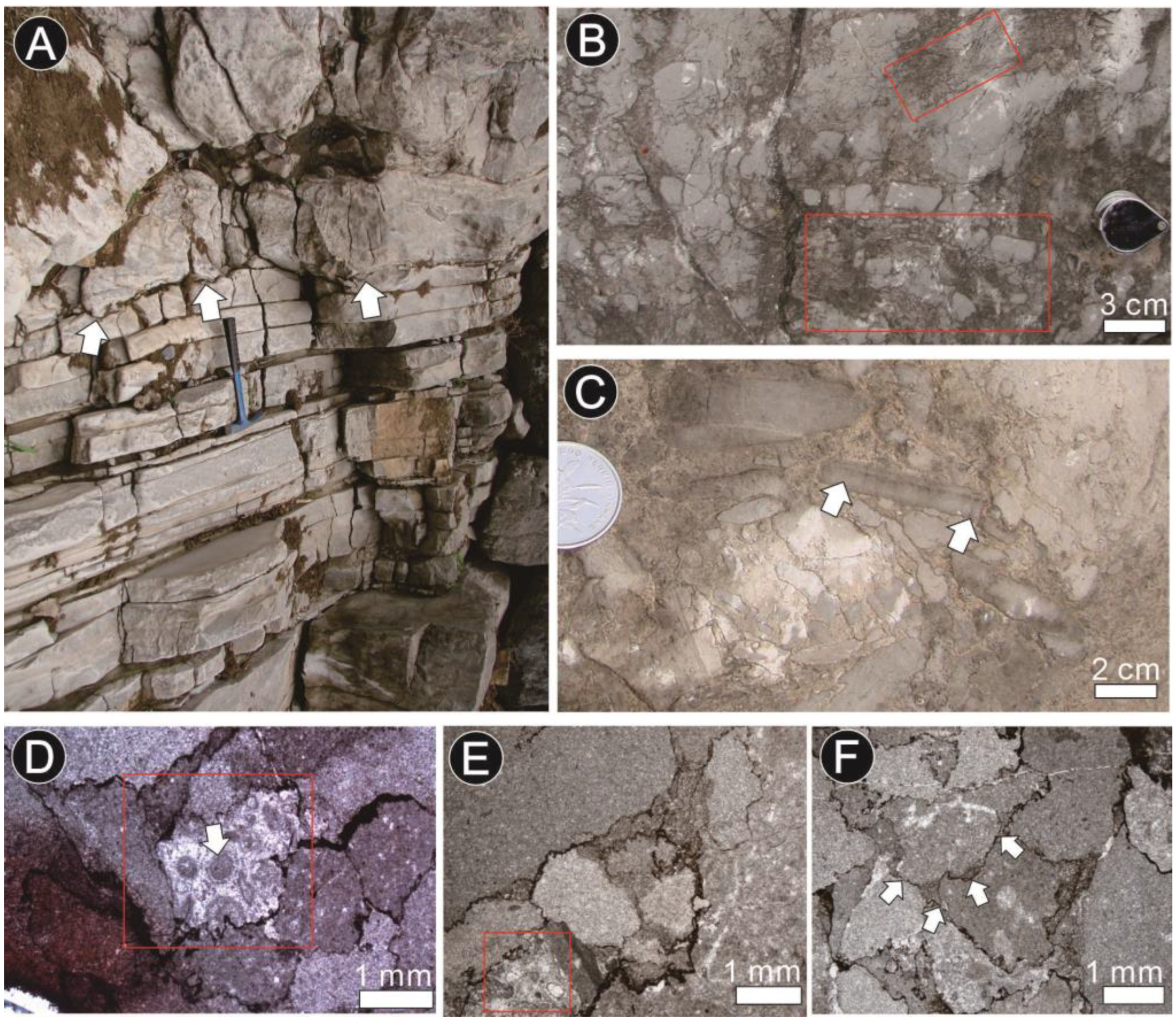 Minerals 13 01222 g006