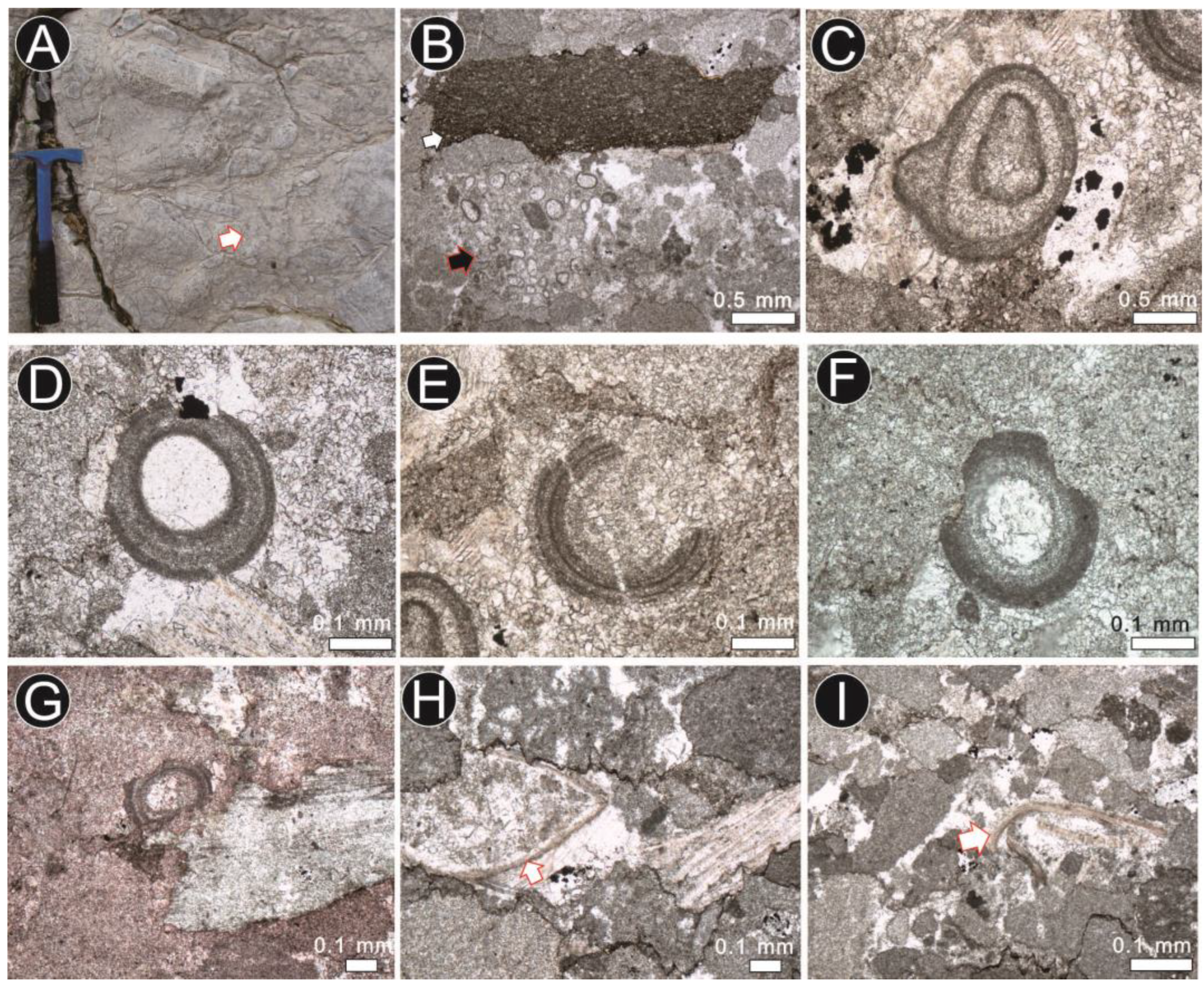 Minerals 13 01222 g007