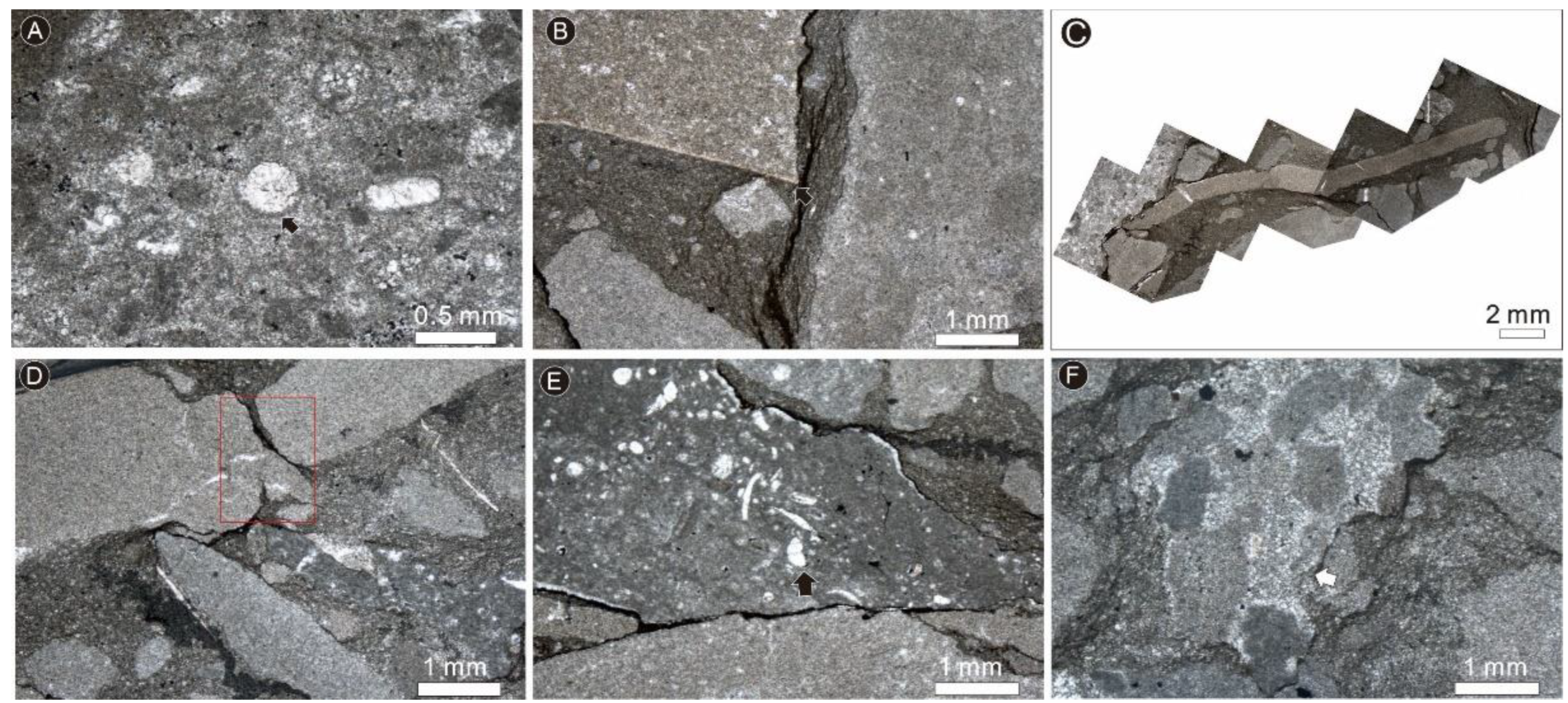 Minerals 13 01222 g010