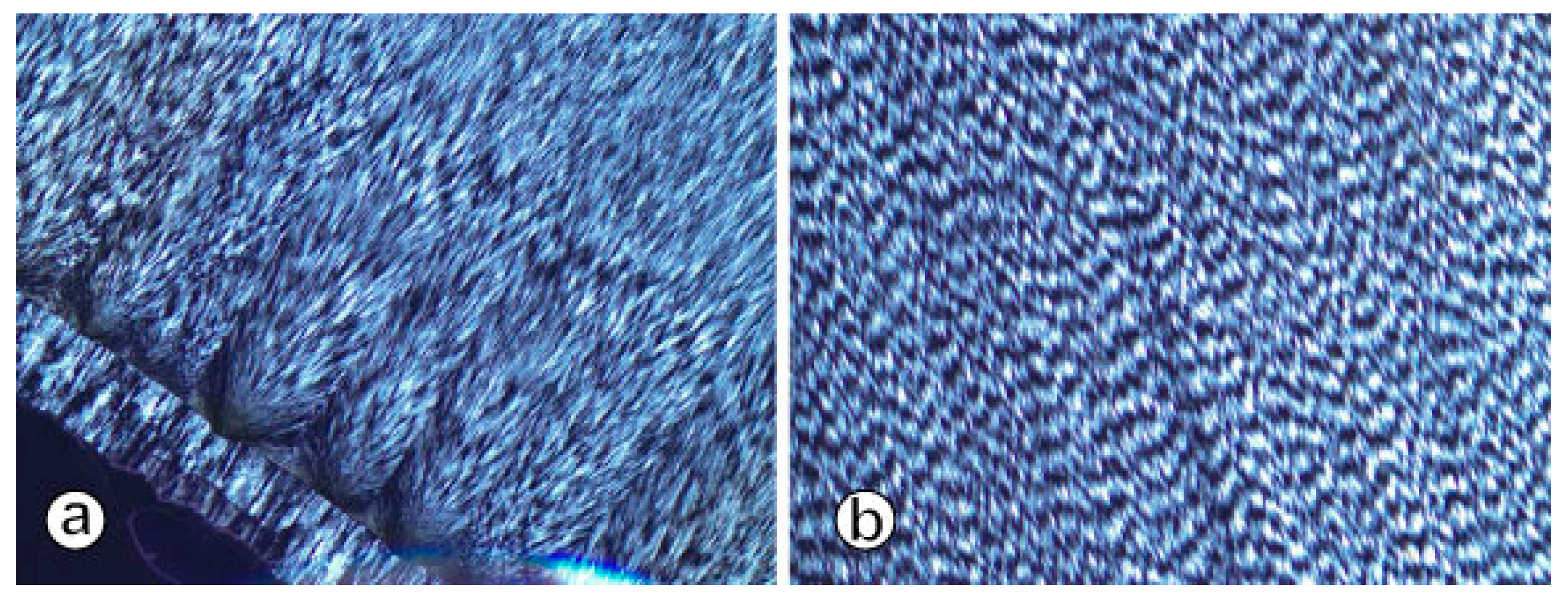 Minerals 13 01249 g005