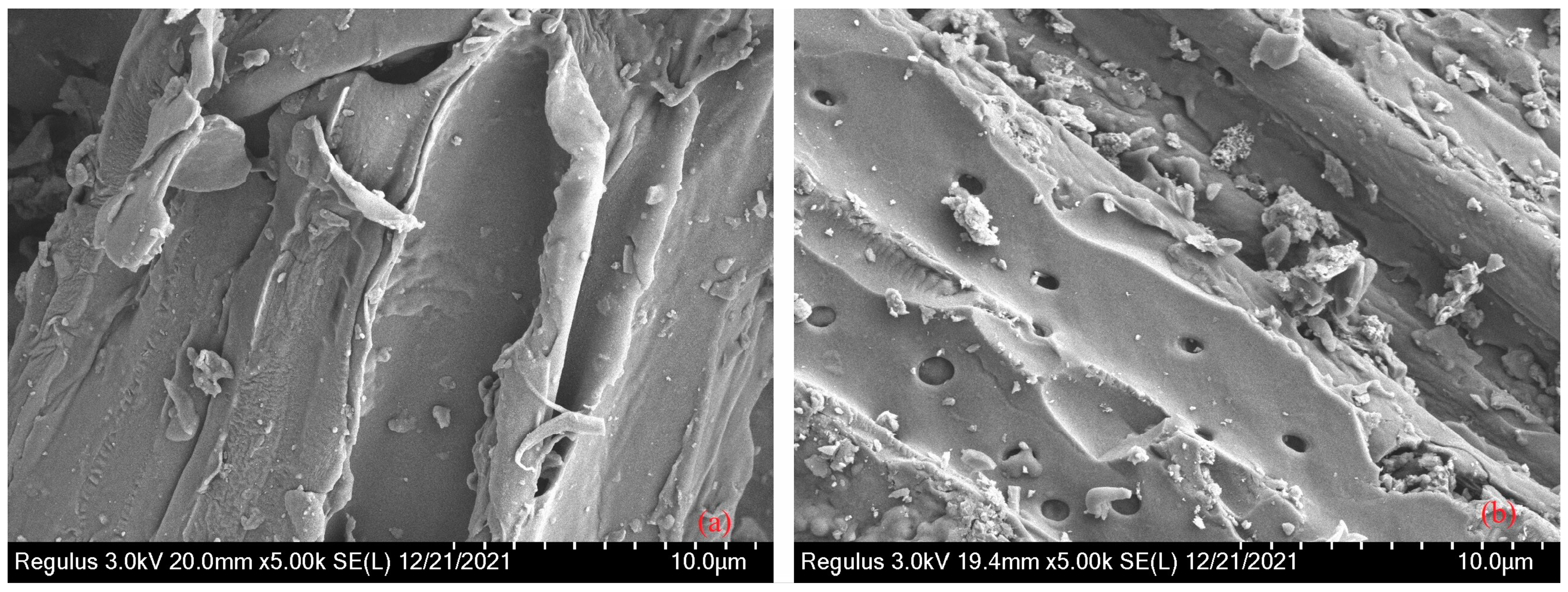 Minerals 13 01290 g001