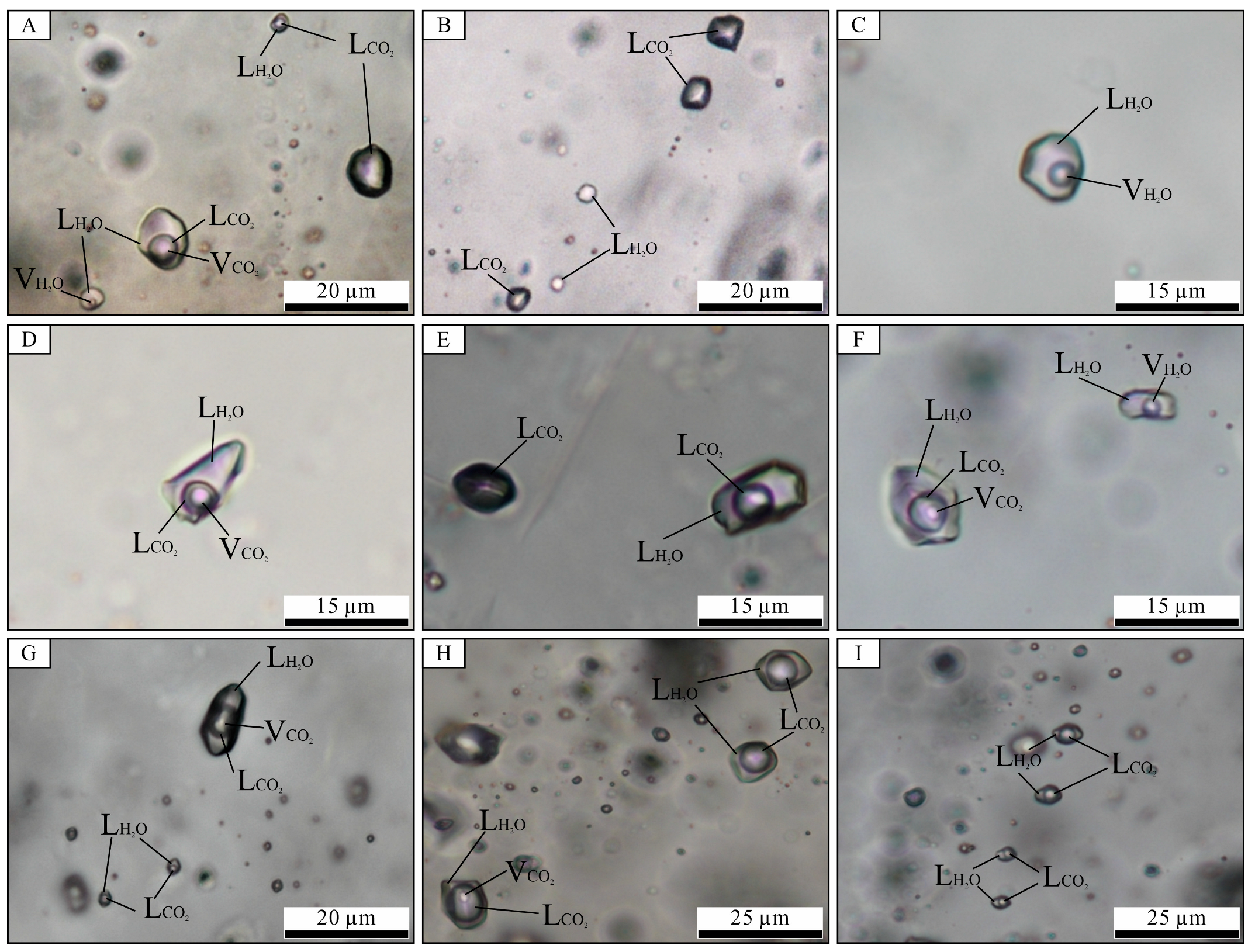 Minerals 13 01296 g007