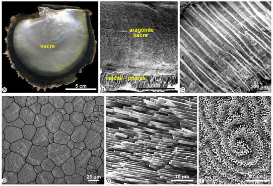 Minerals 13 01301 g0a1