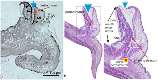 Minerals 13 01301 g0a2