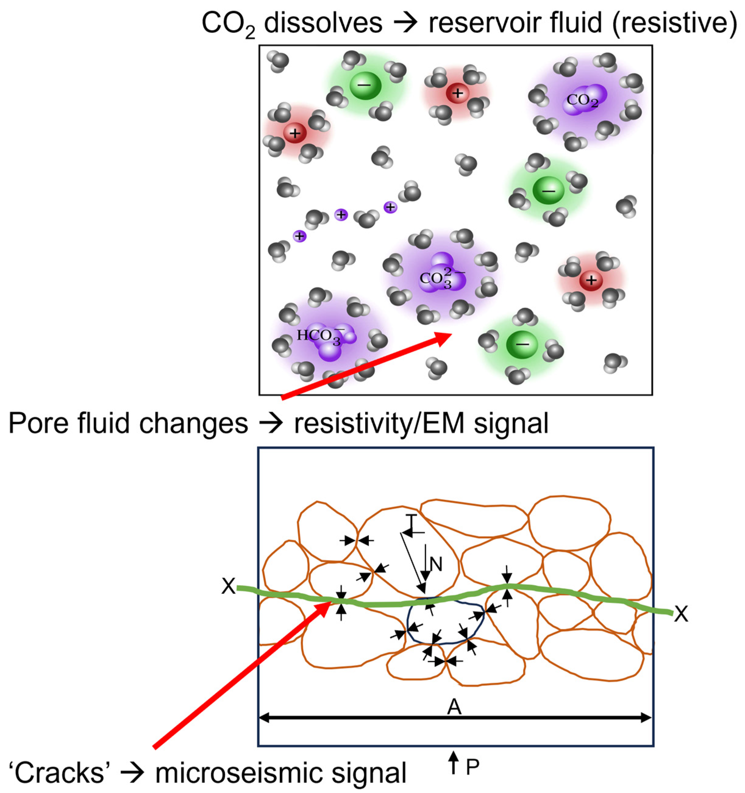 Minerals 13 01308 g001