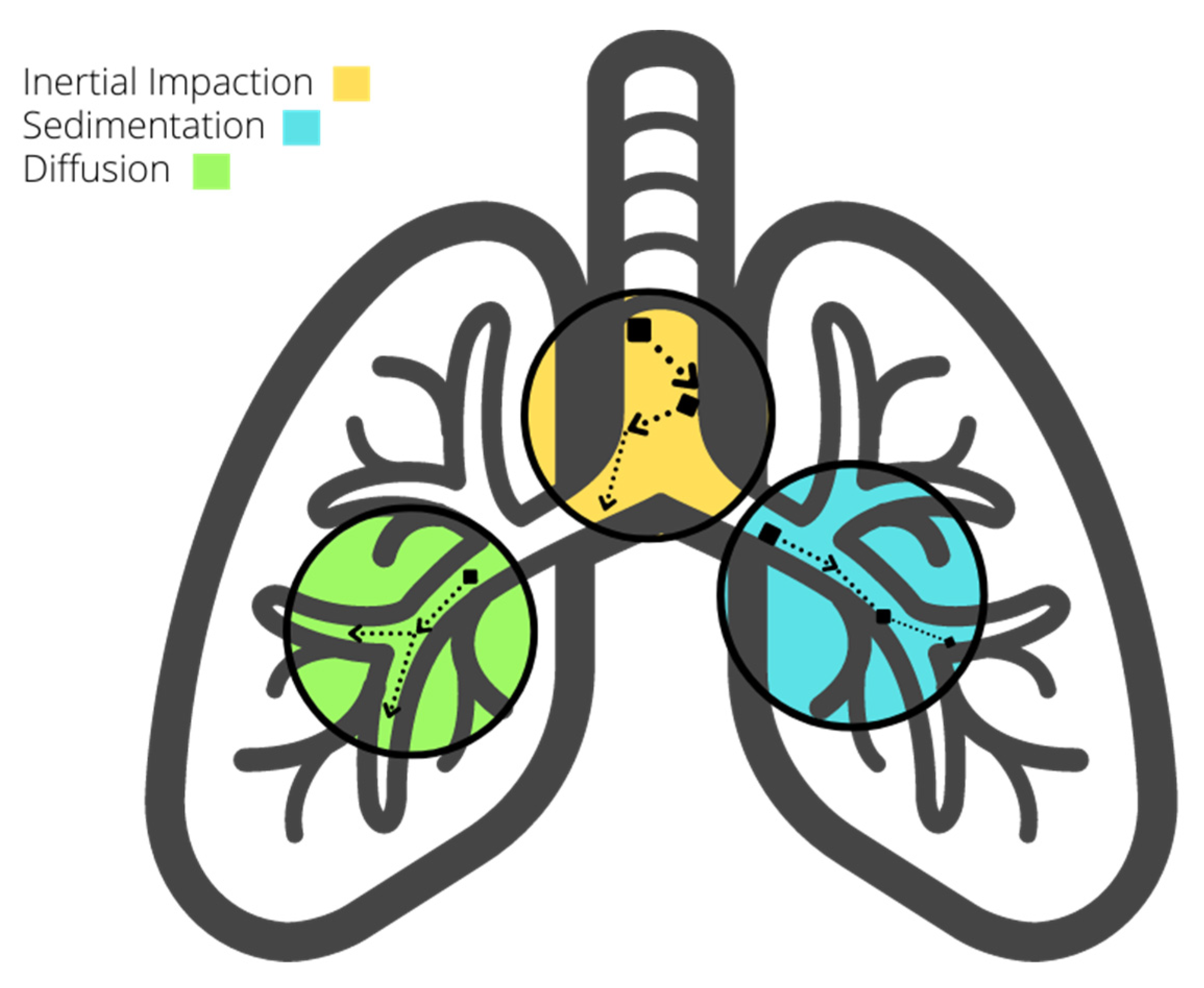 Minerals 13 01311 g002 Minerals 13 01311 g002