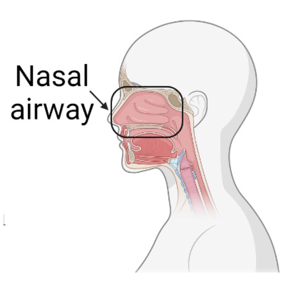 Minerals 13 01311 g005 Minerals 13 01311 g005