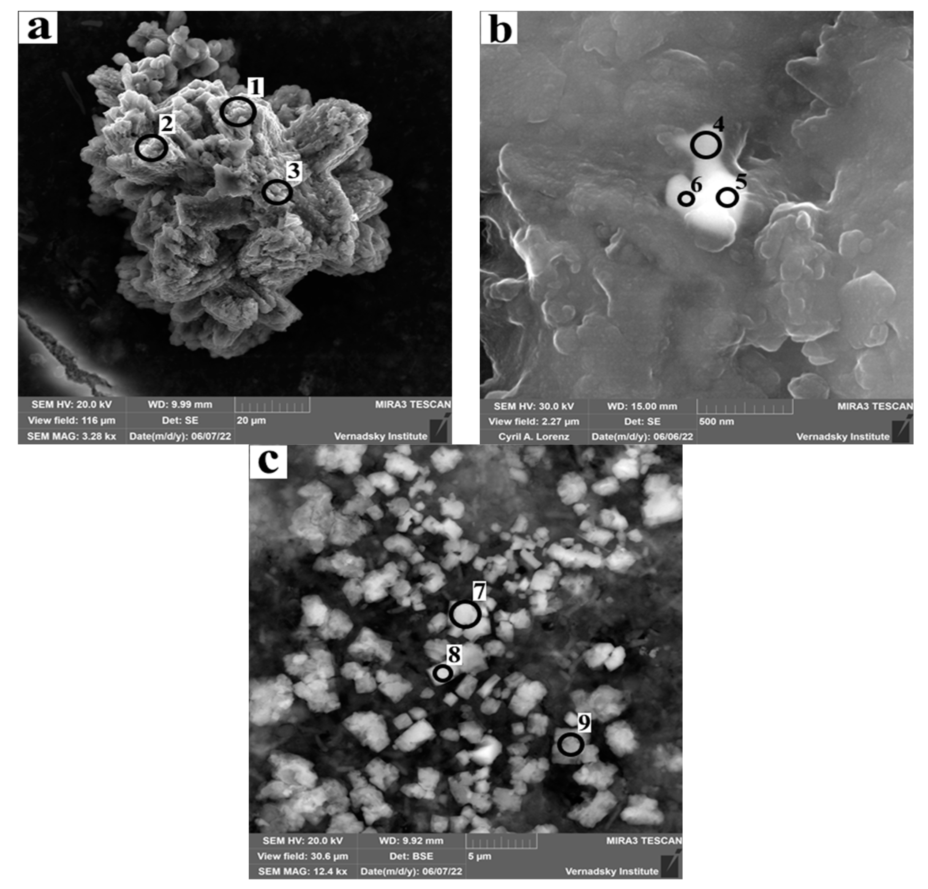 Minerals 13 01319 g005