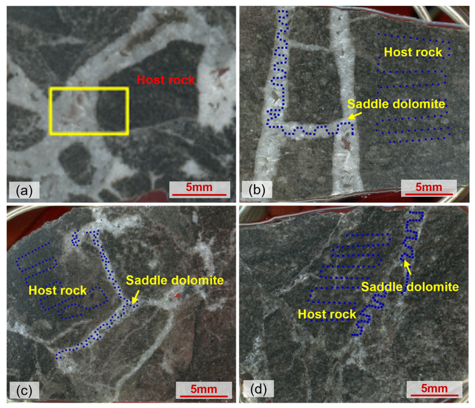 Minerals 13 01336 g005