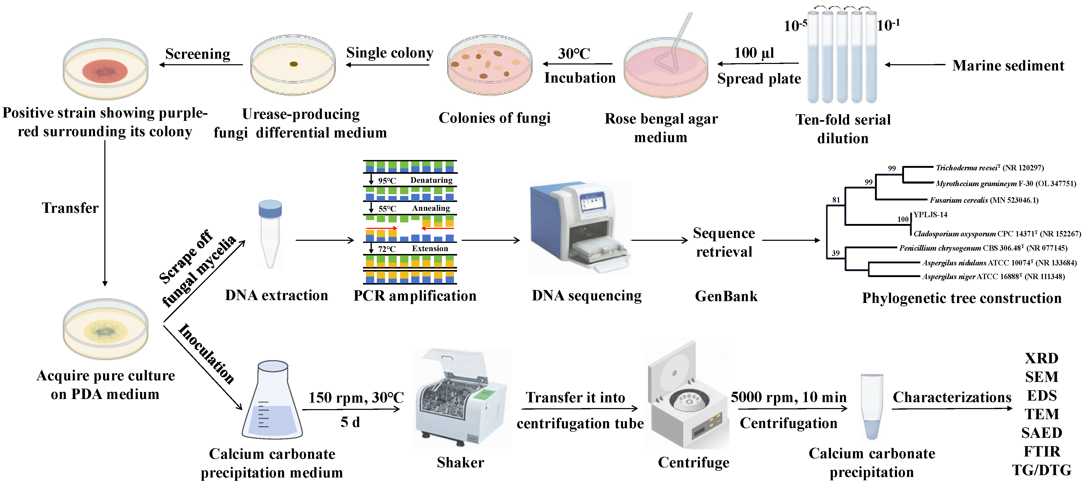 Minerals 13 01344 g001