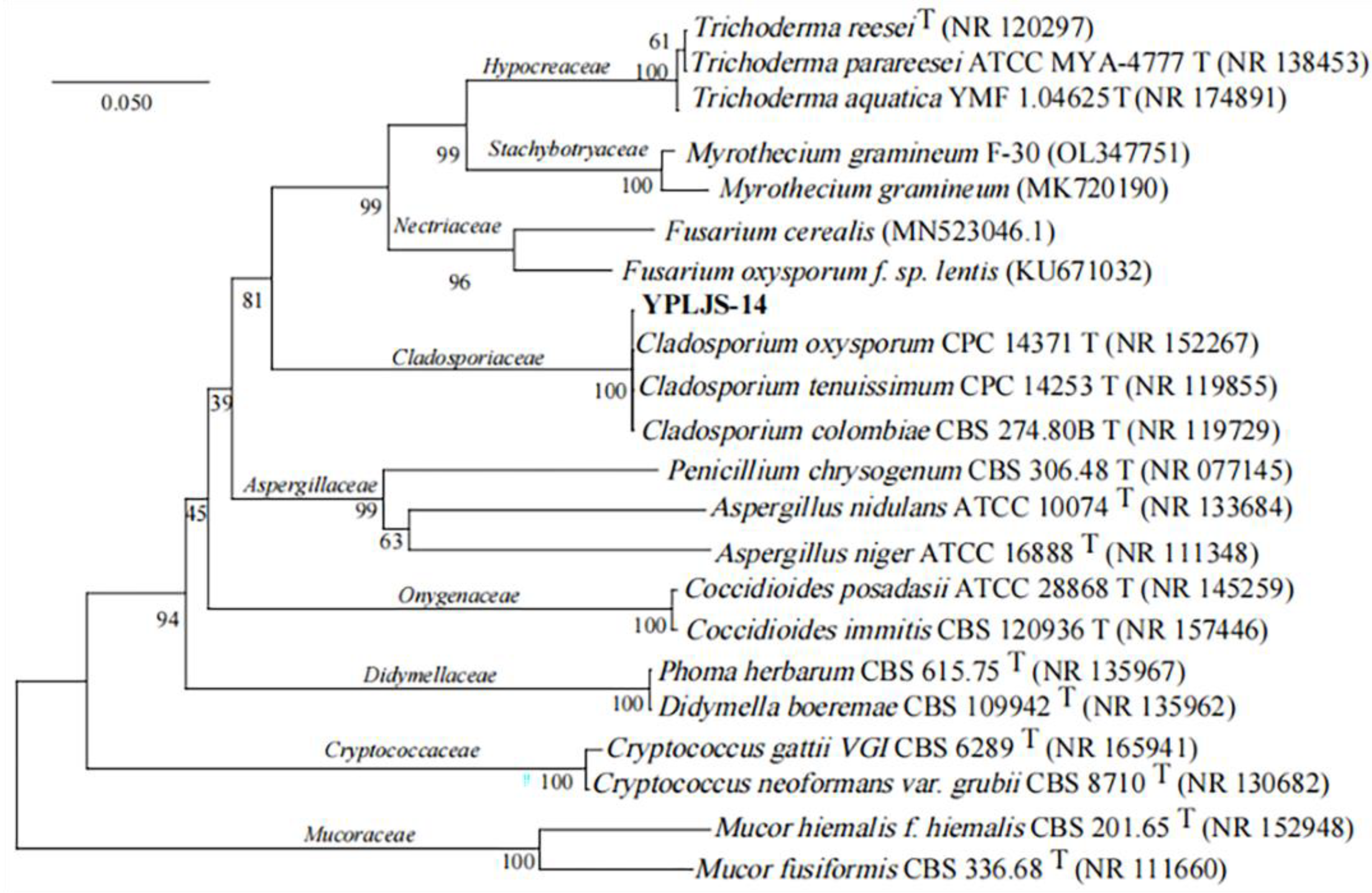 Minerals 13 01344 g002