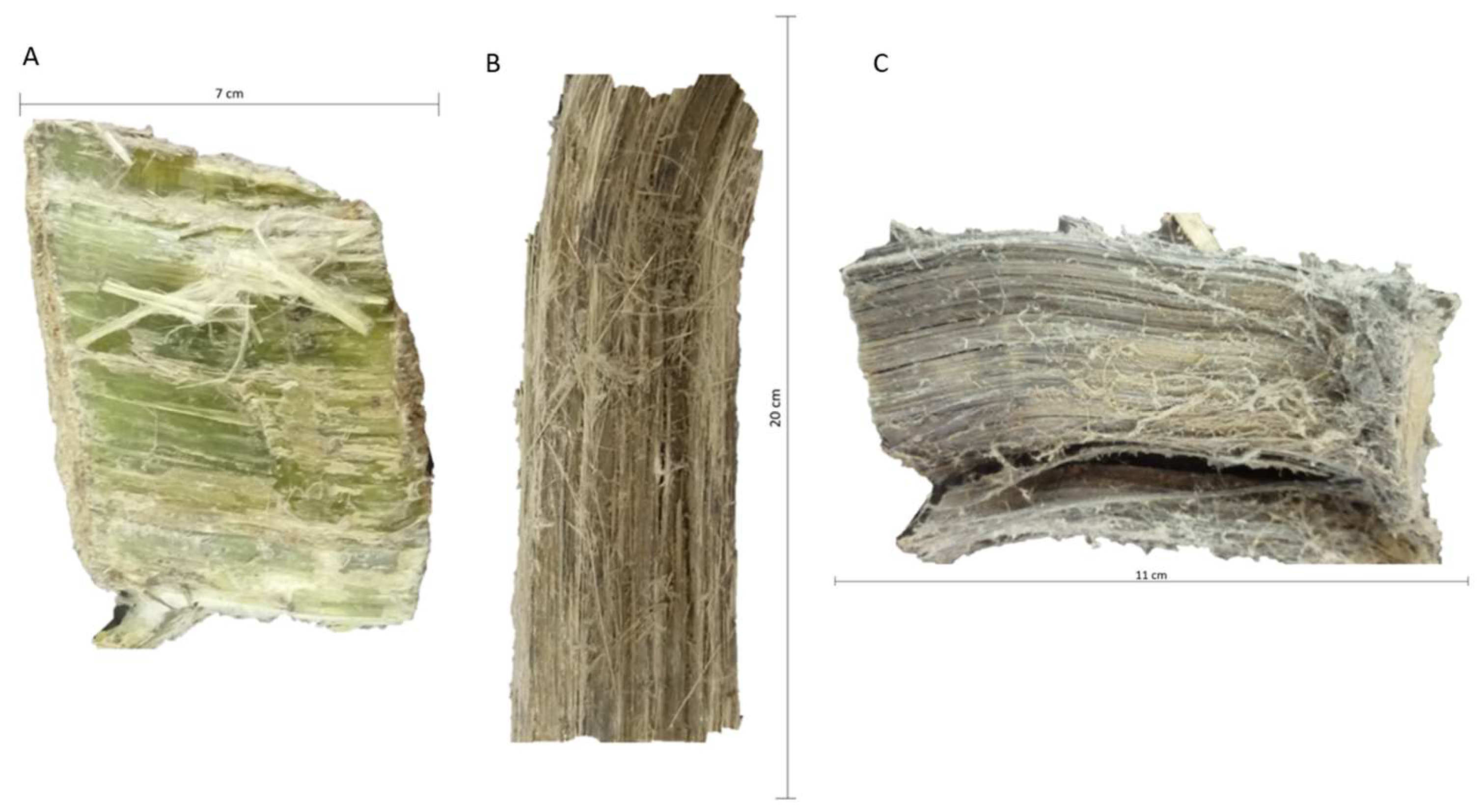 Minerals 13 01352 g001