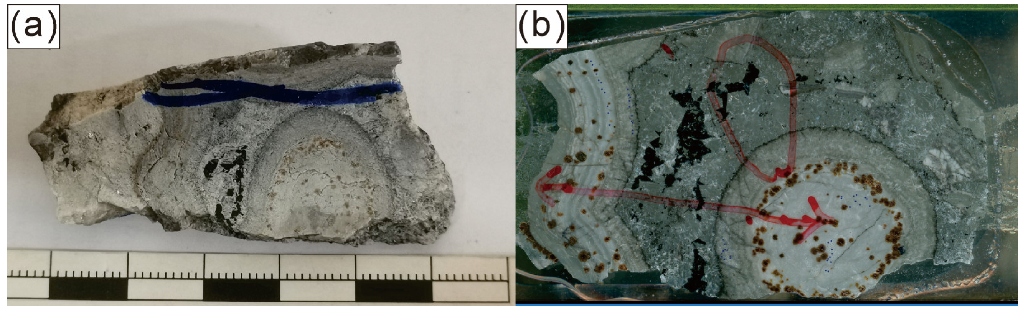 Minerals 13 01353 g004
