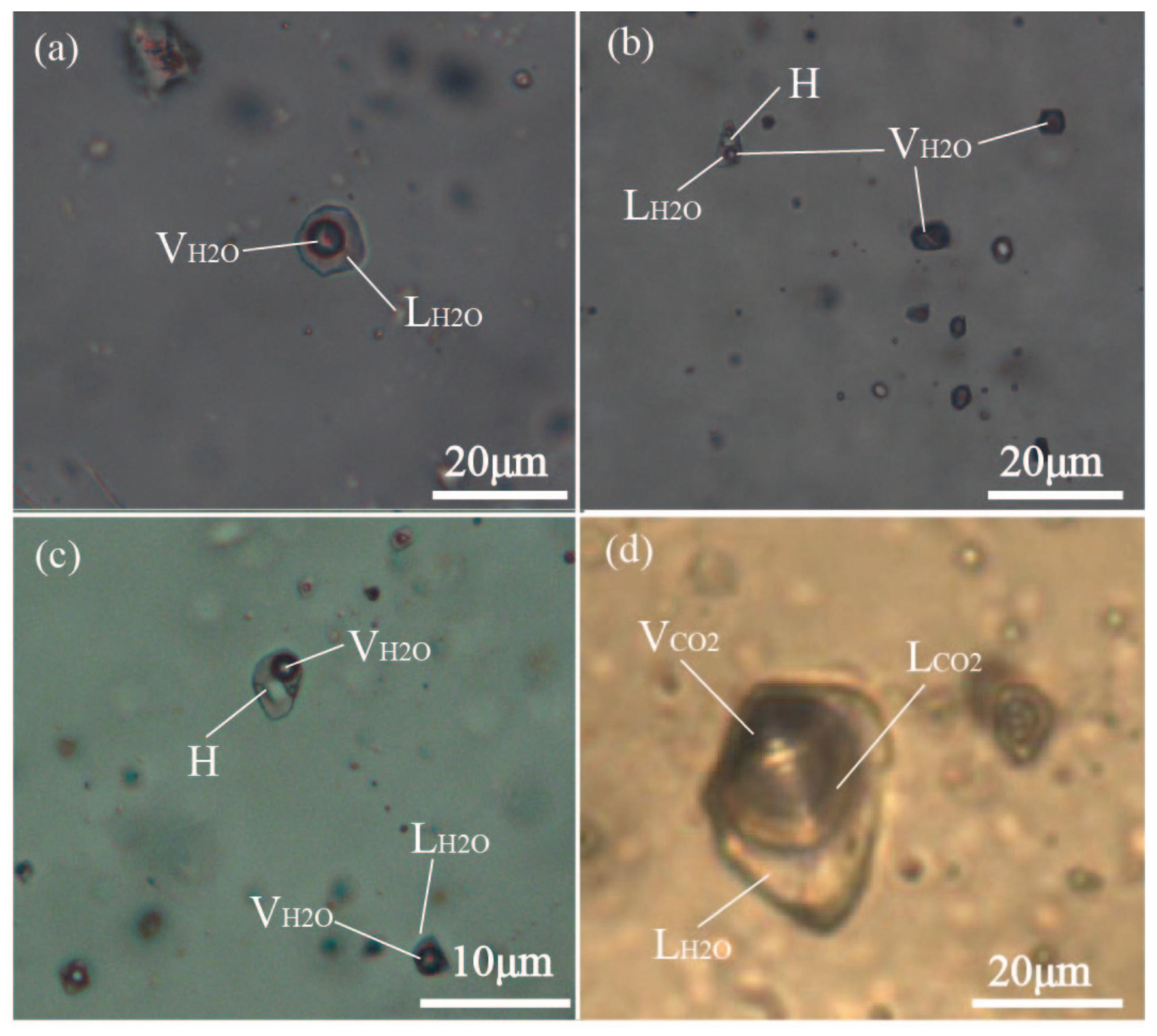 Minerals 13 01357 g010