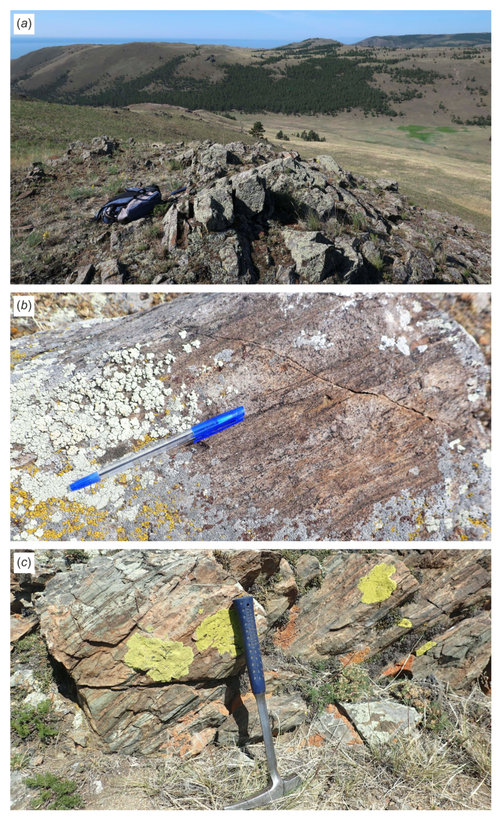 Minerals 13 01370 g007