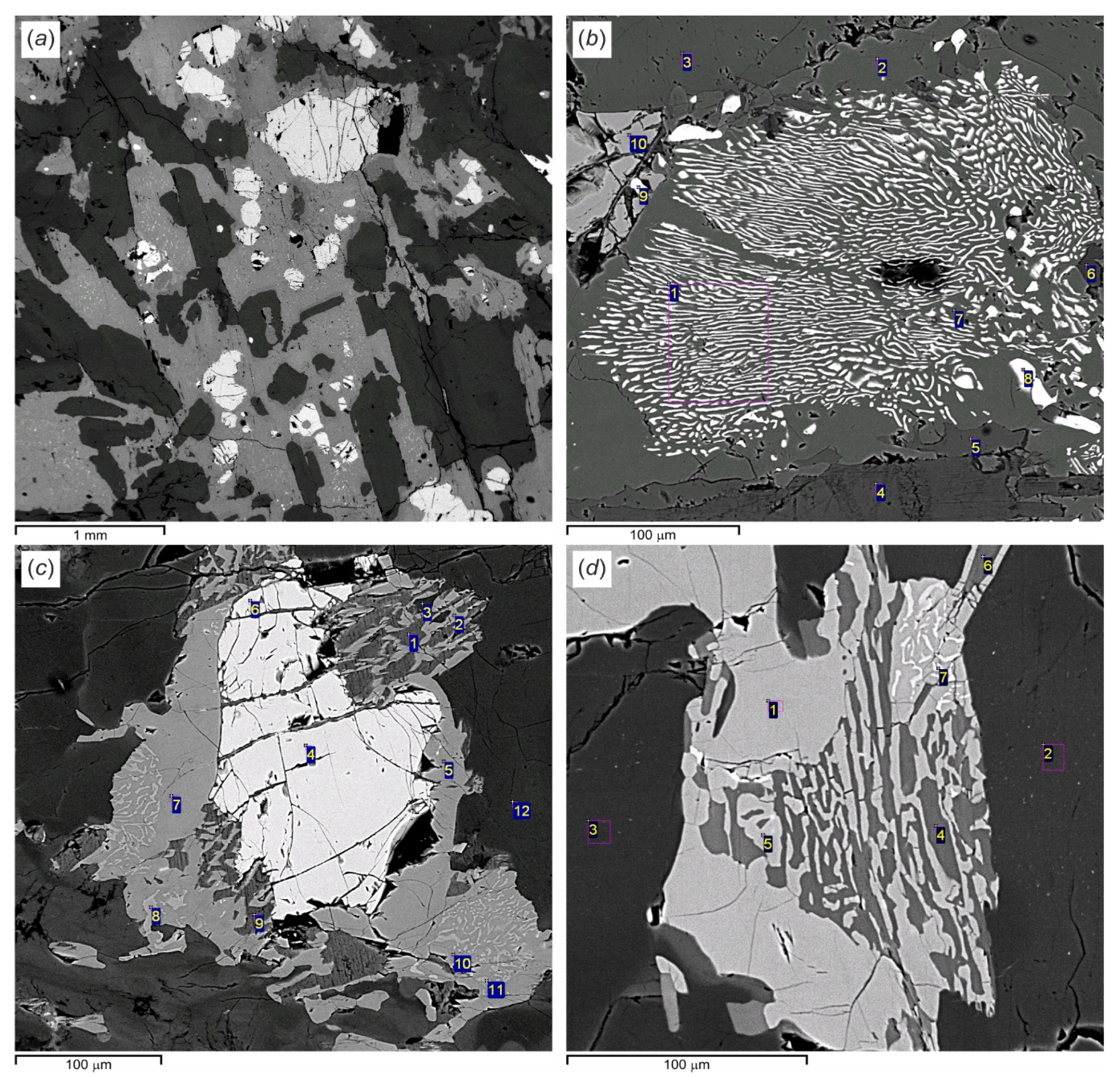 Minerals 13 01370 g014