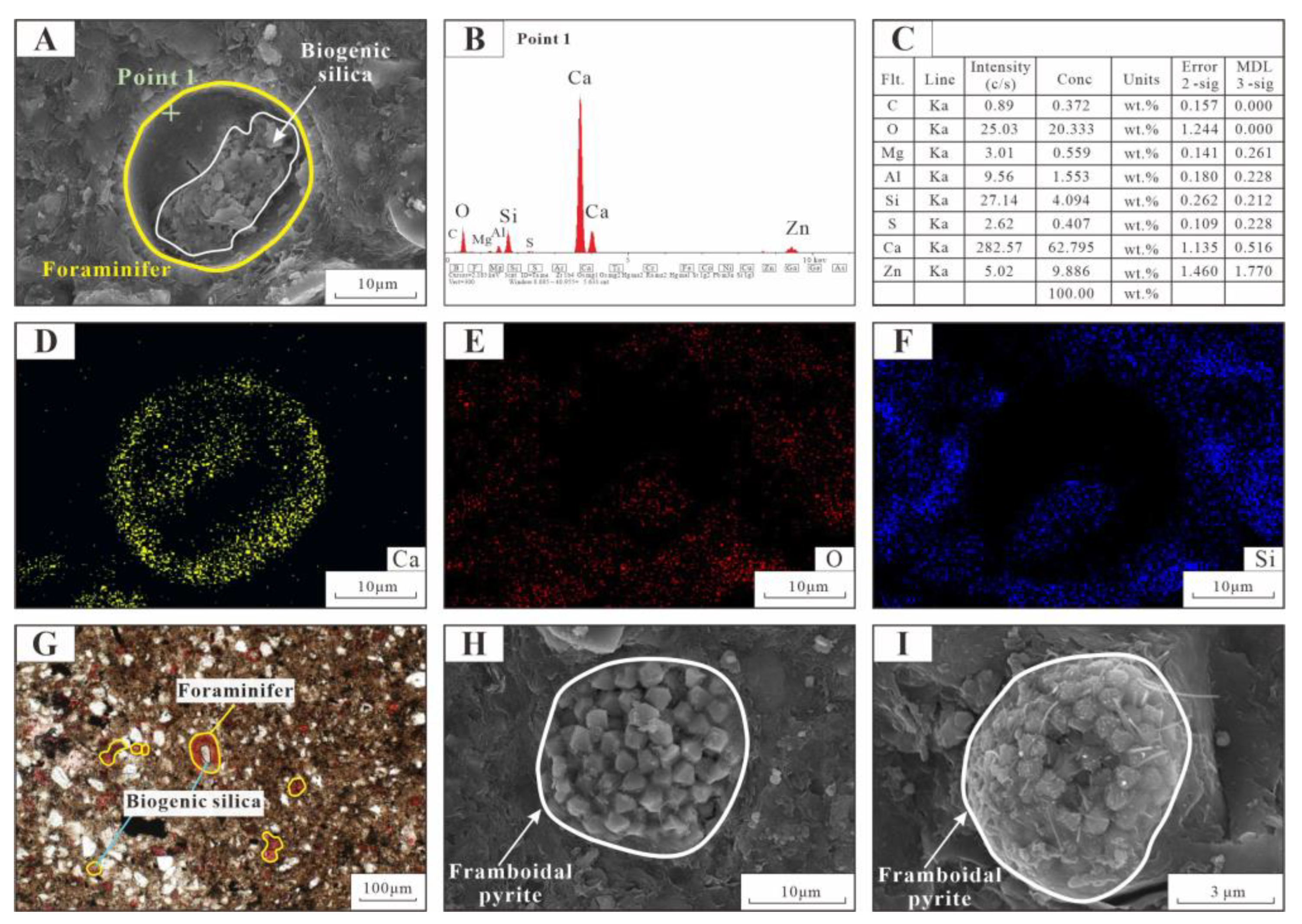 Minerals 13 01388 g004