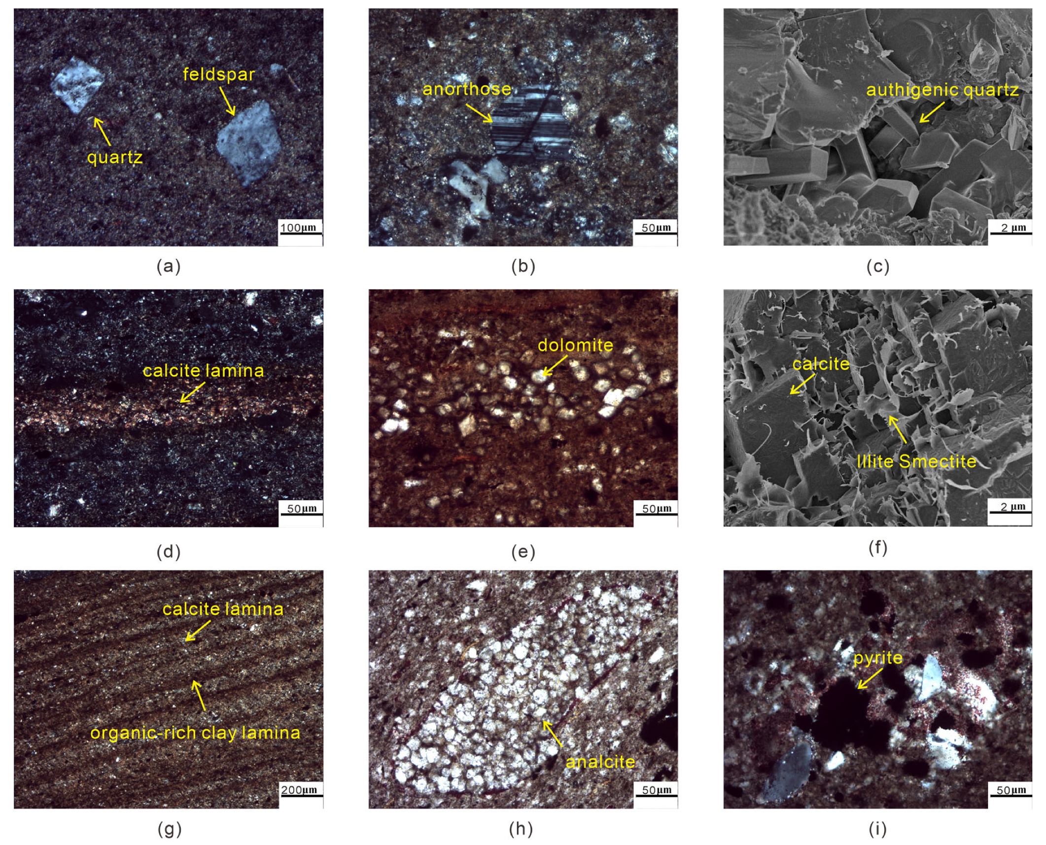 Minerals 13 01391 g004