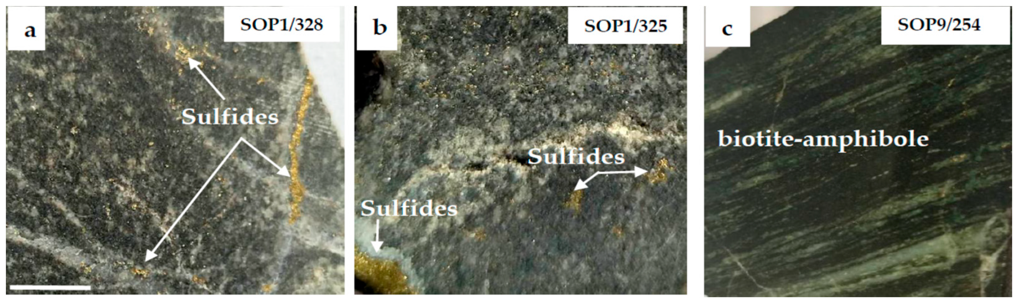 Minerals 13 01413 g002
