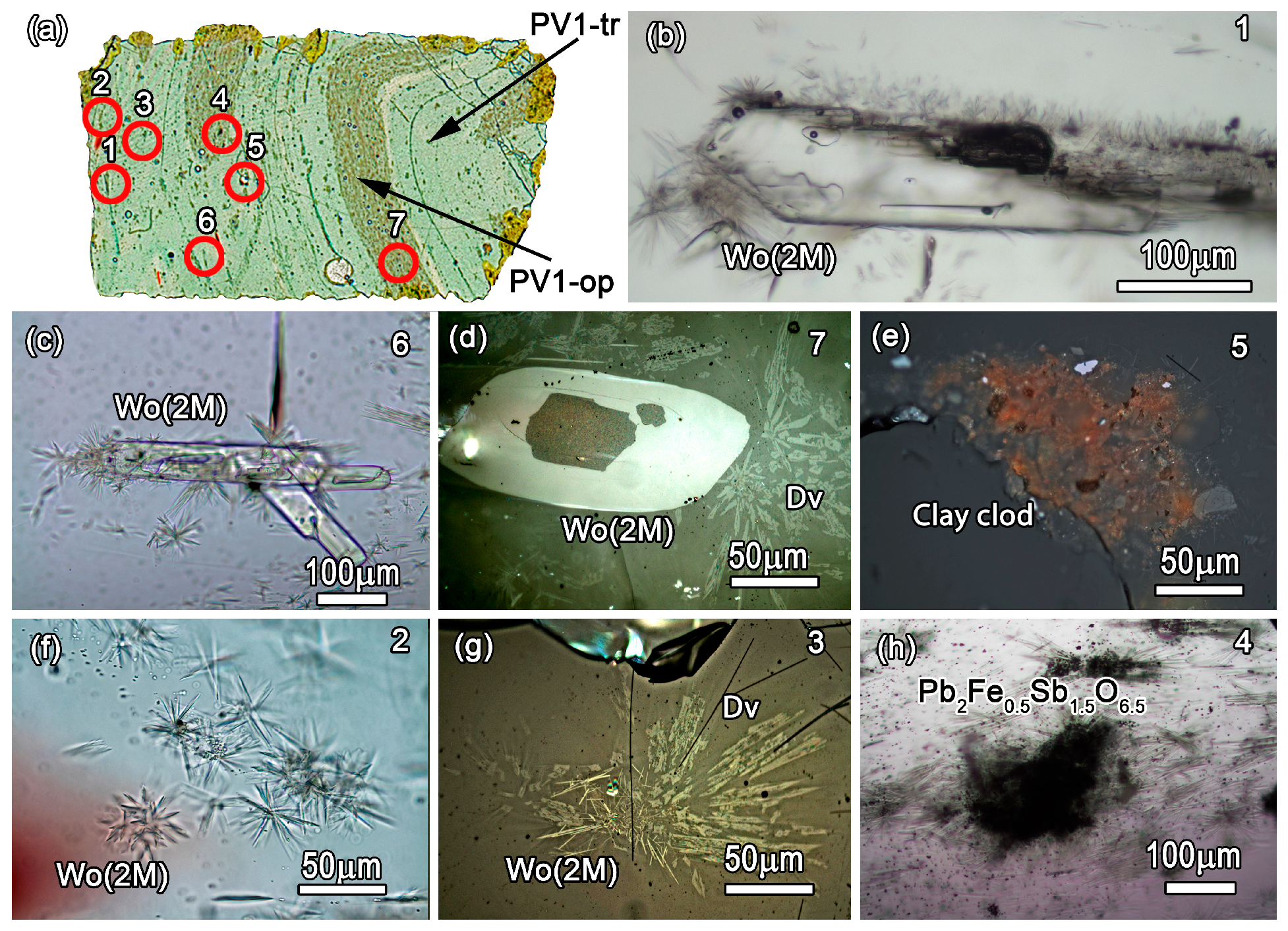 Minerals 13 01421 g006