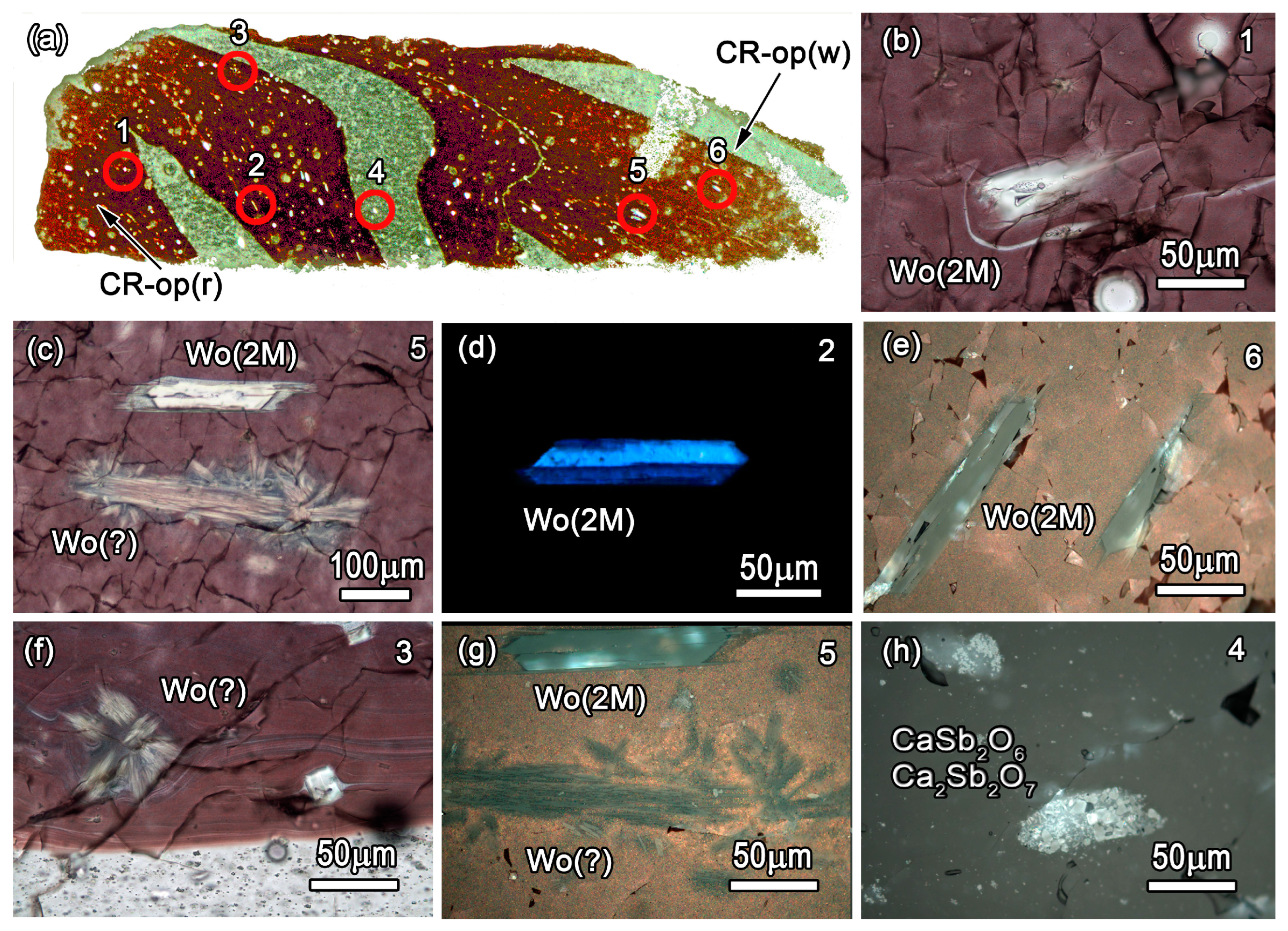 Minerals 13 01421 g010