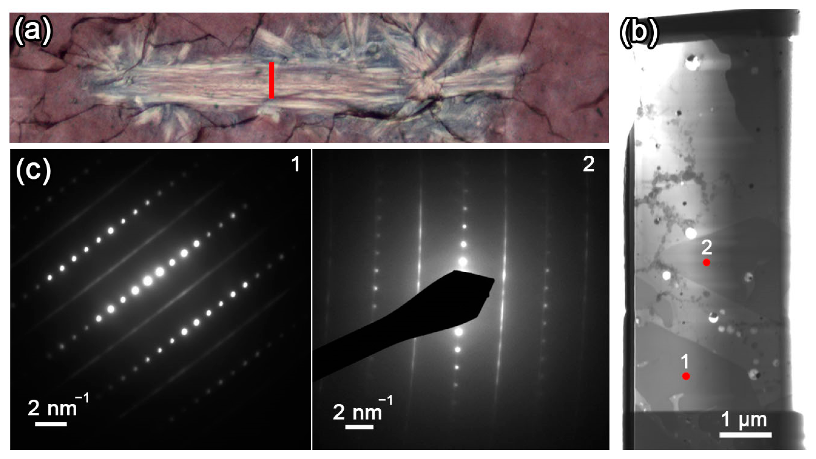 Minerals 13 01421 g012