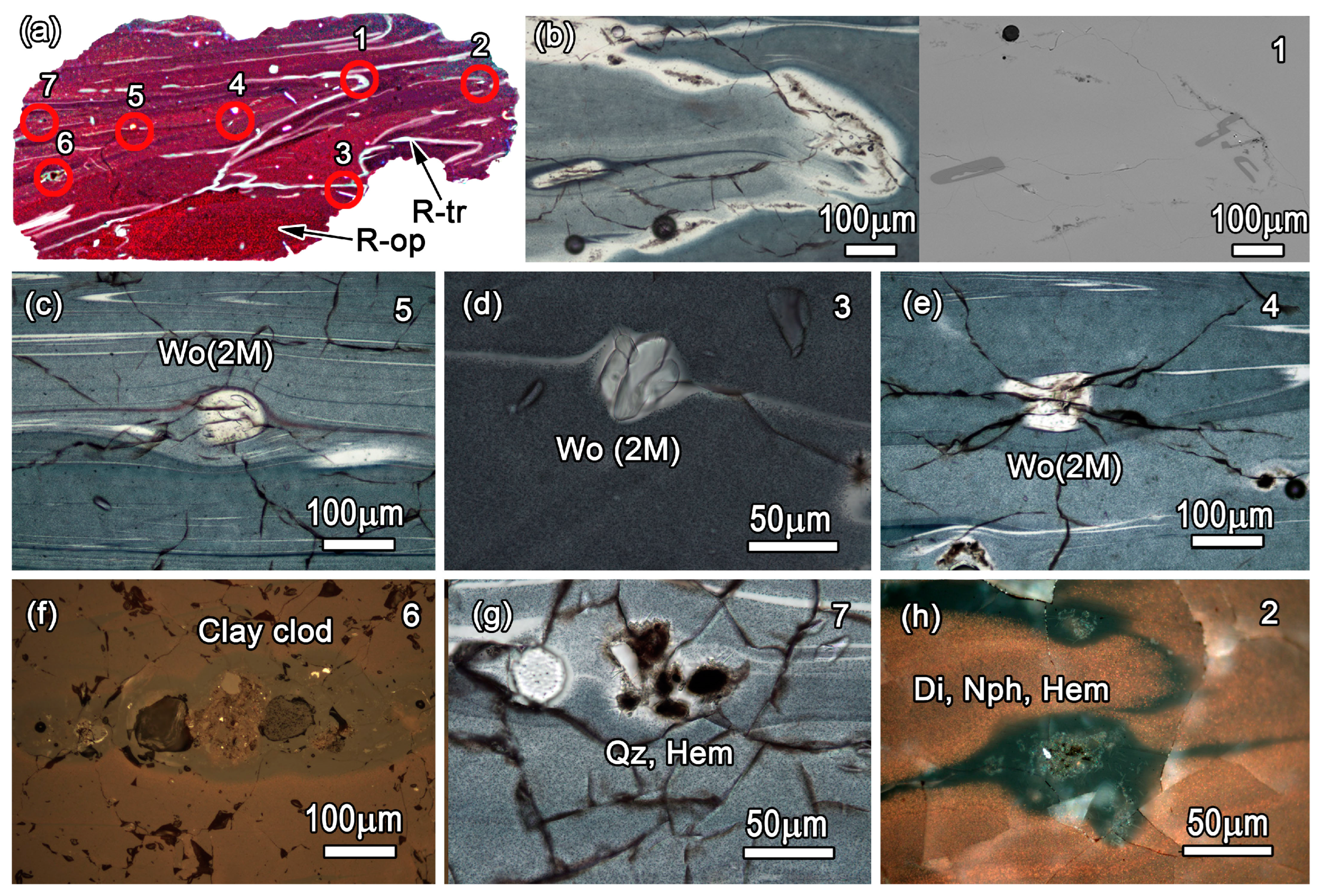 Minerals 13 01421 g013