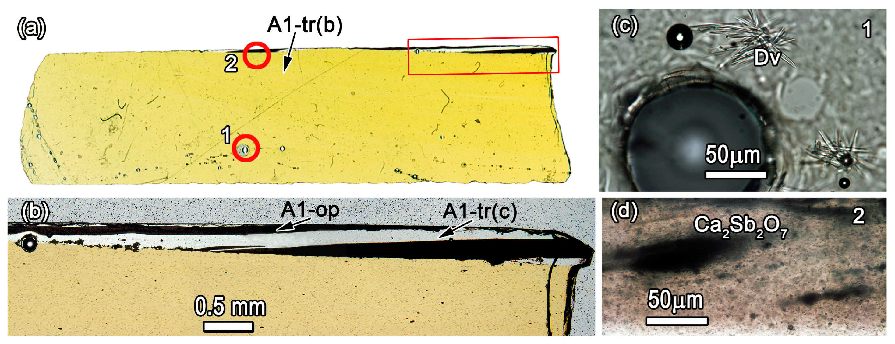 Minerals 13 01421 g017