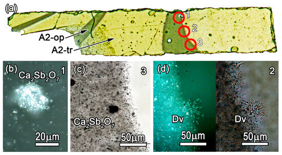 Minerals 13 01421 g018