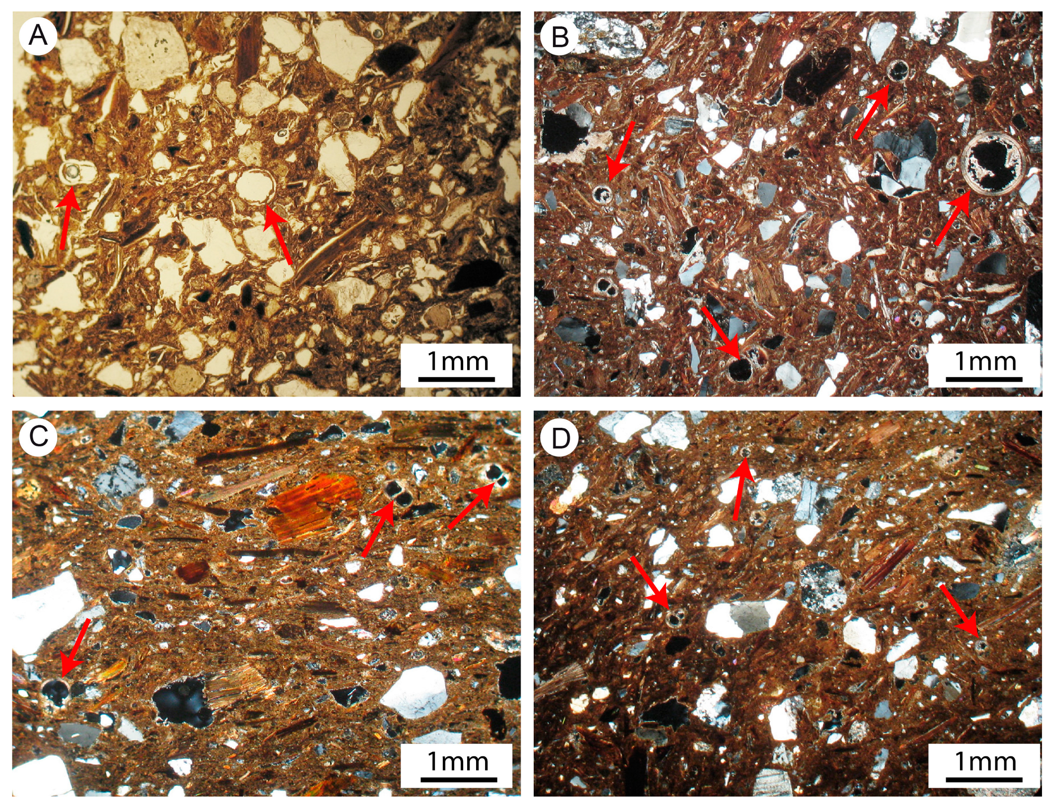 Minerals 13 01422 g006
