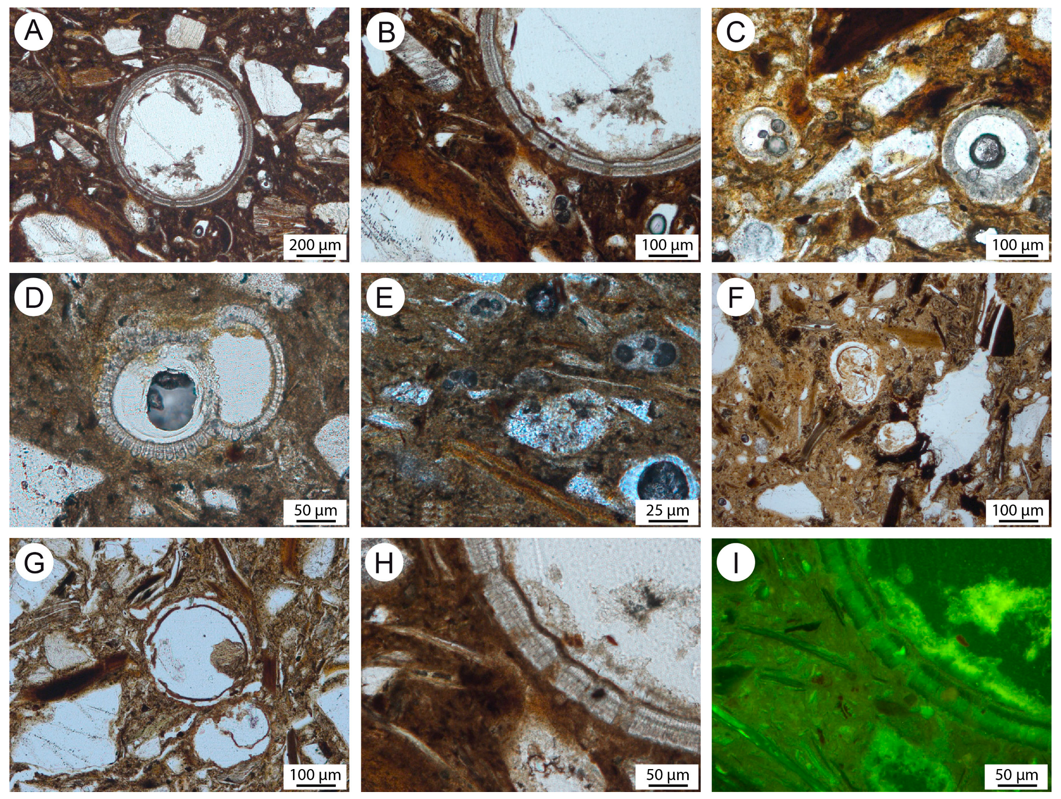 Minerals 13 01422 g007
