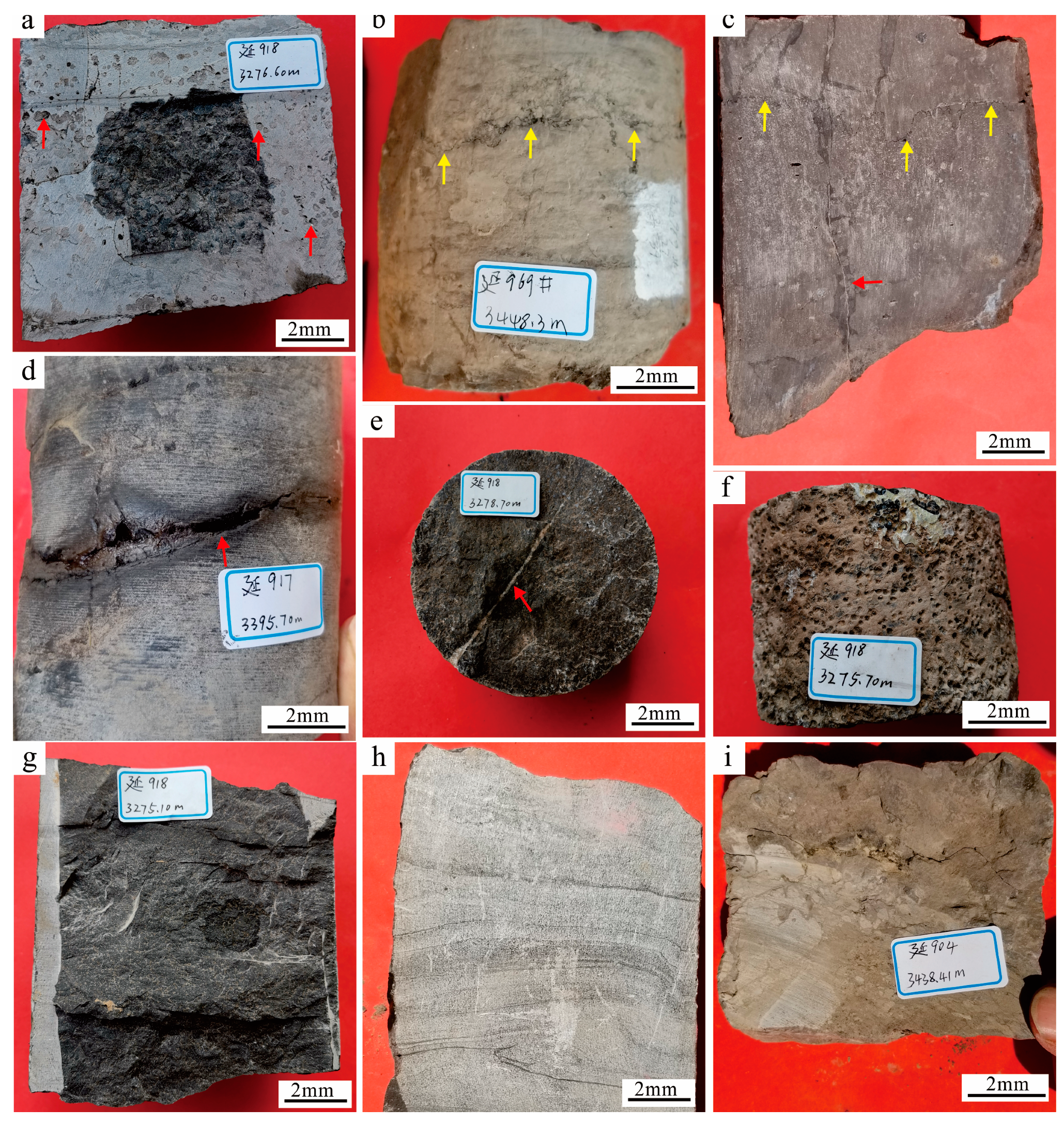 Minerals 13 01425 g002 Minerals 13 01425 g002