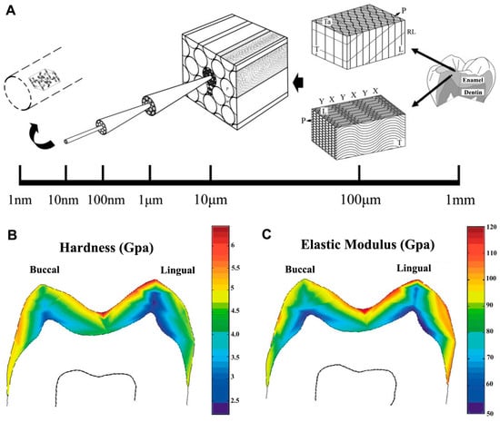 Minerals 13 01433 g001
