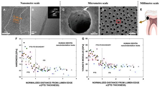 Minerals 13 01433 g002