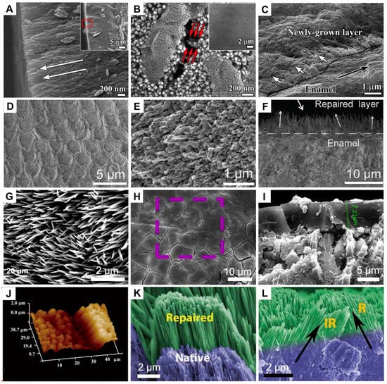 Minerals 13 01433 g003
