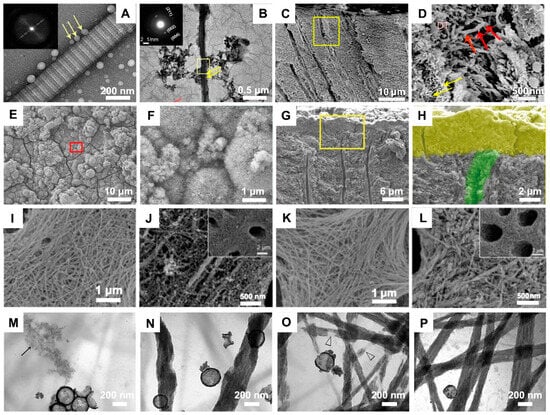 Minerals 13 01433 g004