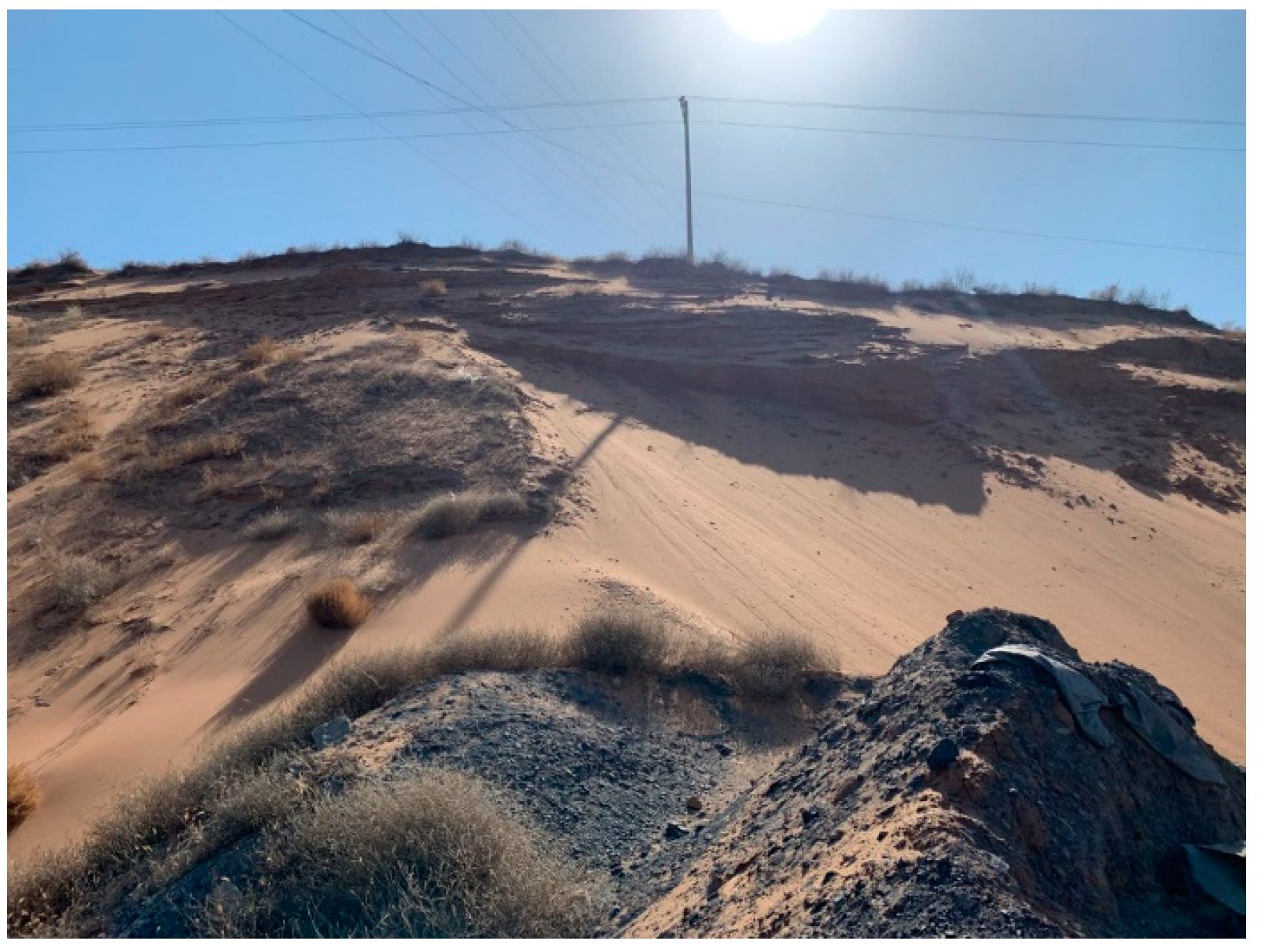 Minerals 13 01436 g001