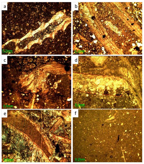 Minerals 13 01438 g003