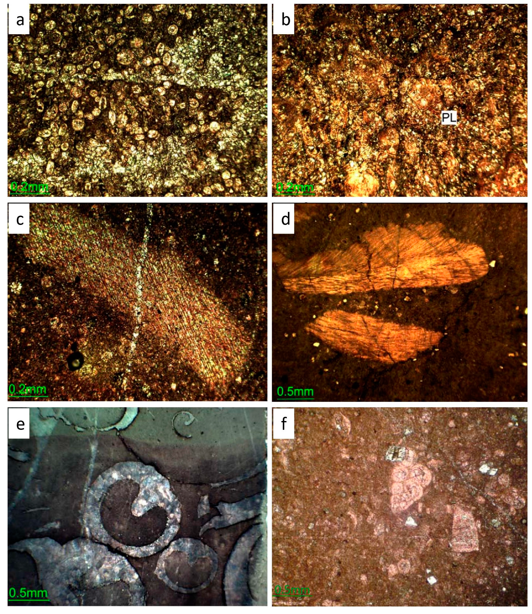 Minerals 13 01438 g004