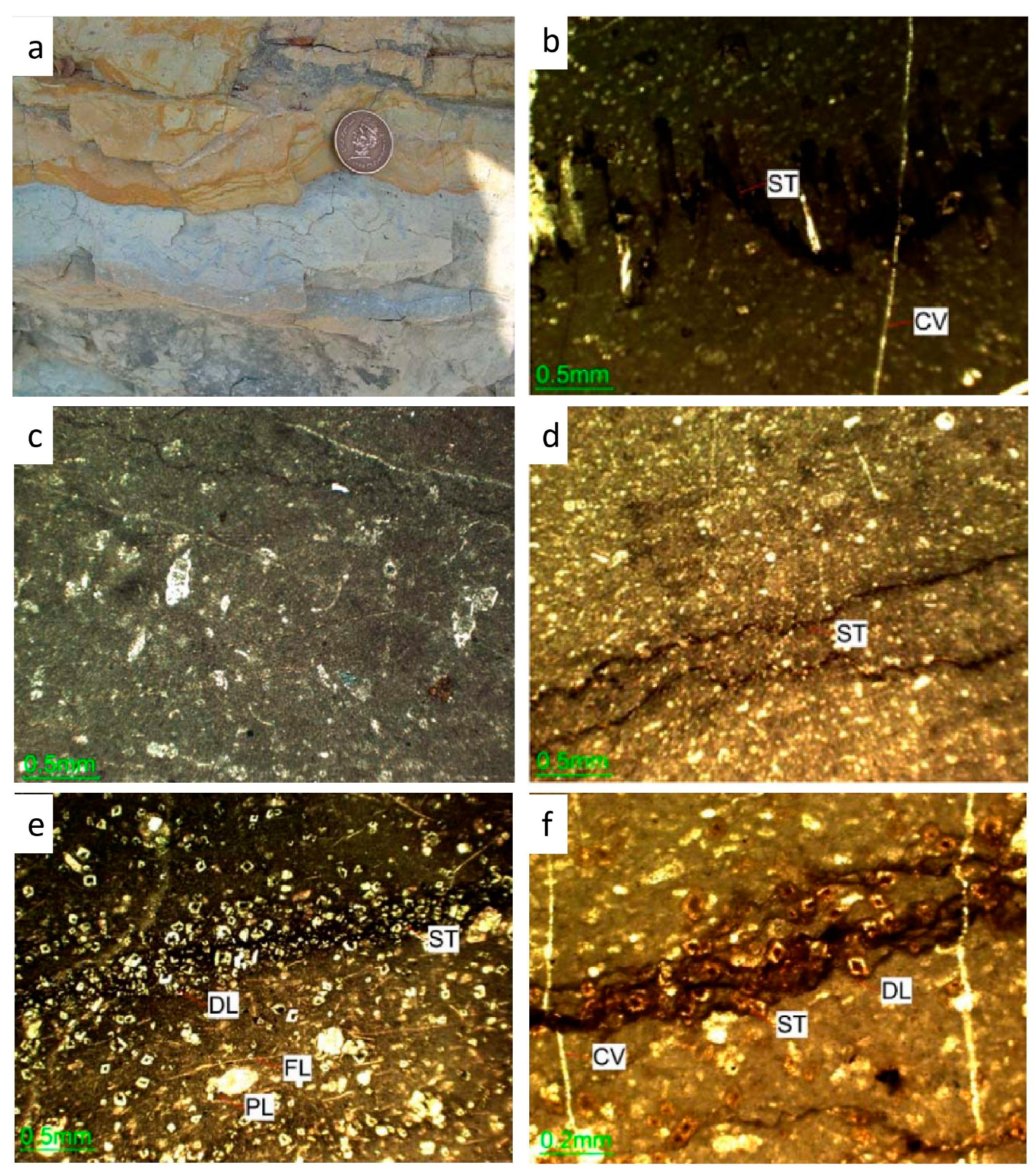 Minerals 13 01438 g006