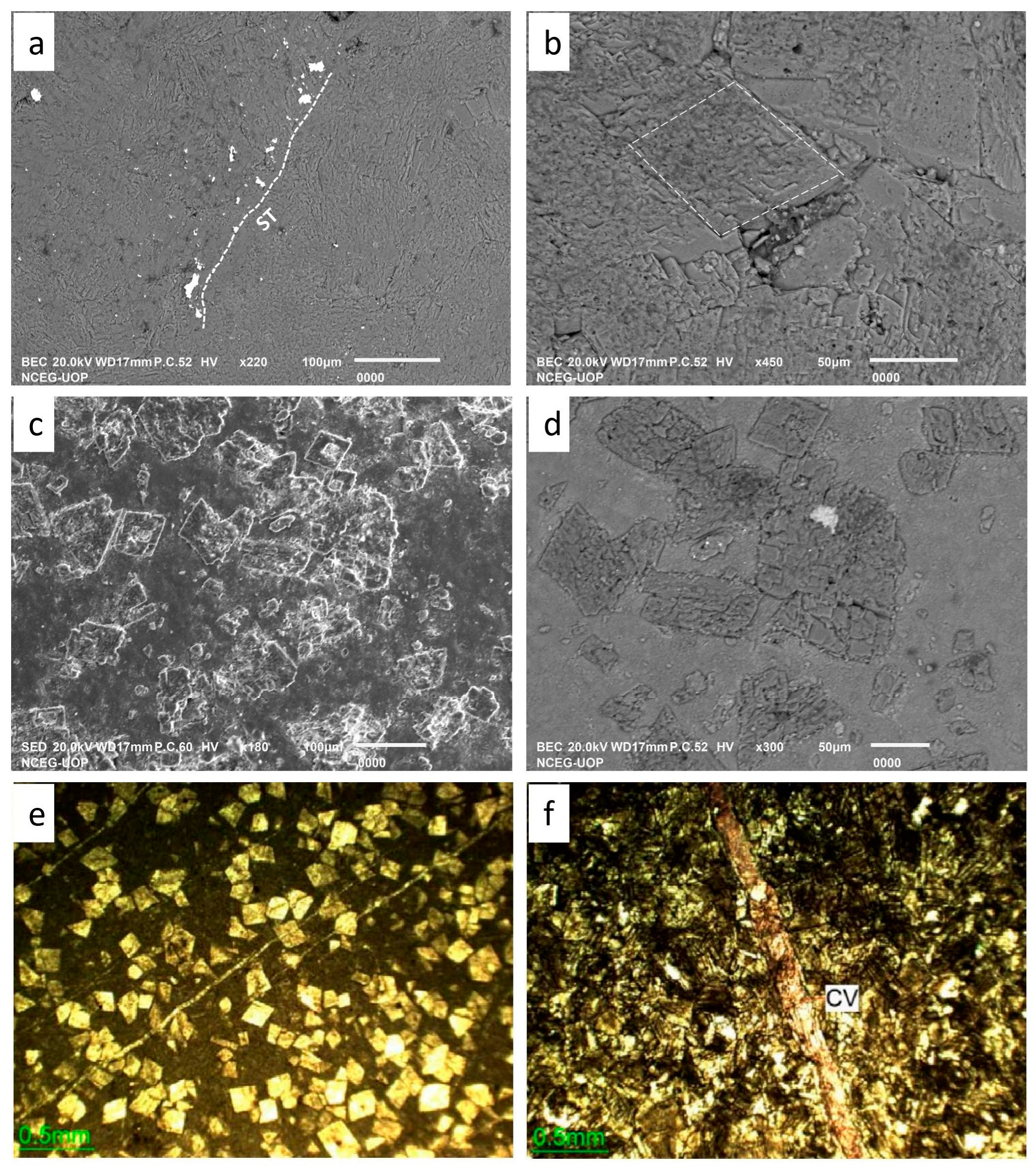 Minerals 13 01438 g008