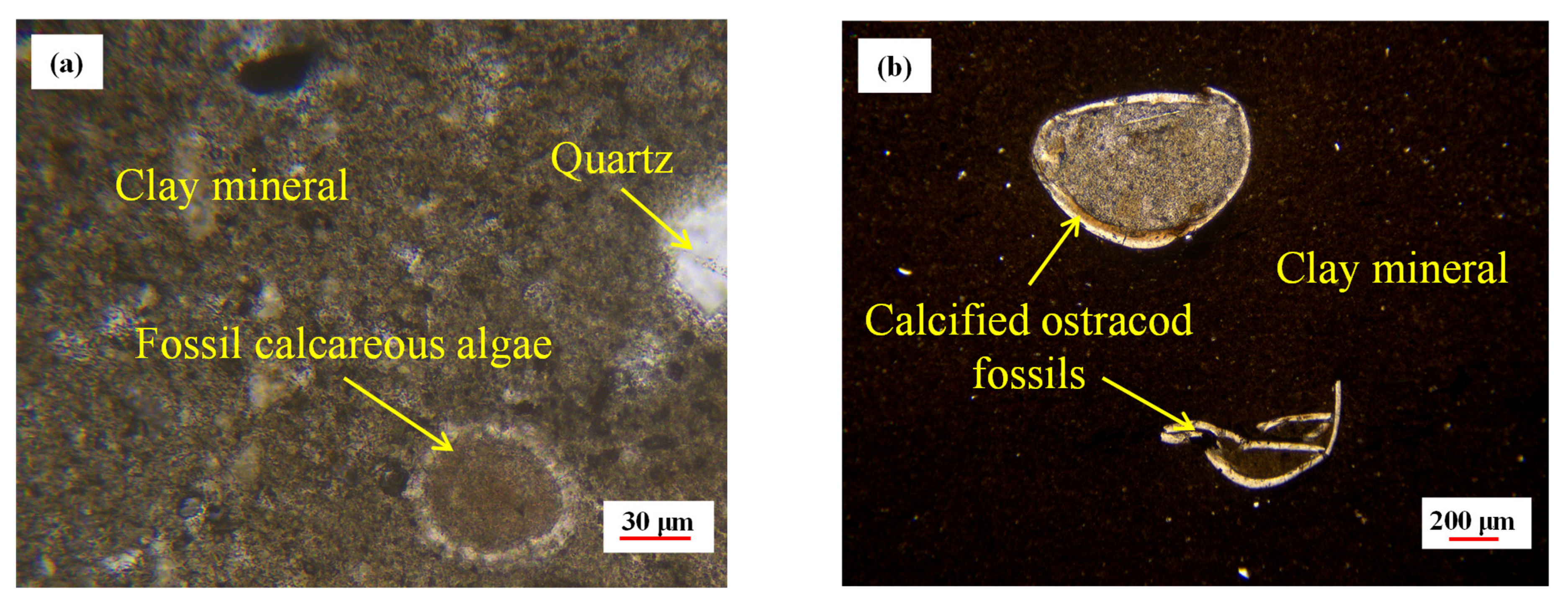 Minerals 13 01439 g008