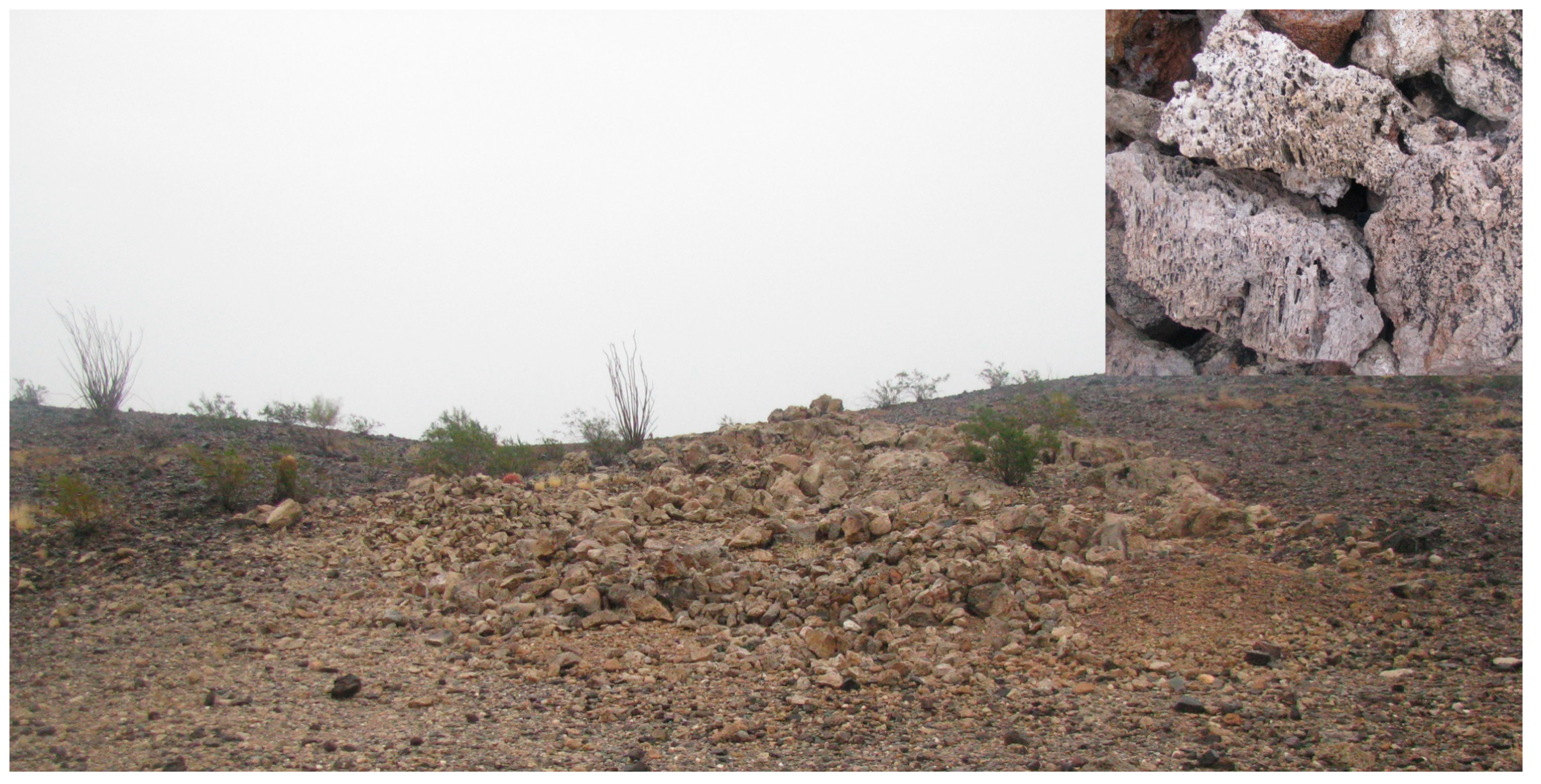 Minerals 13 01444 g009