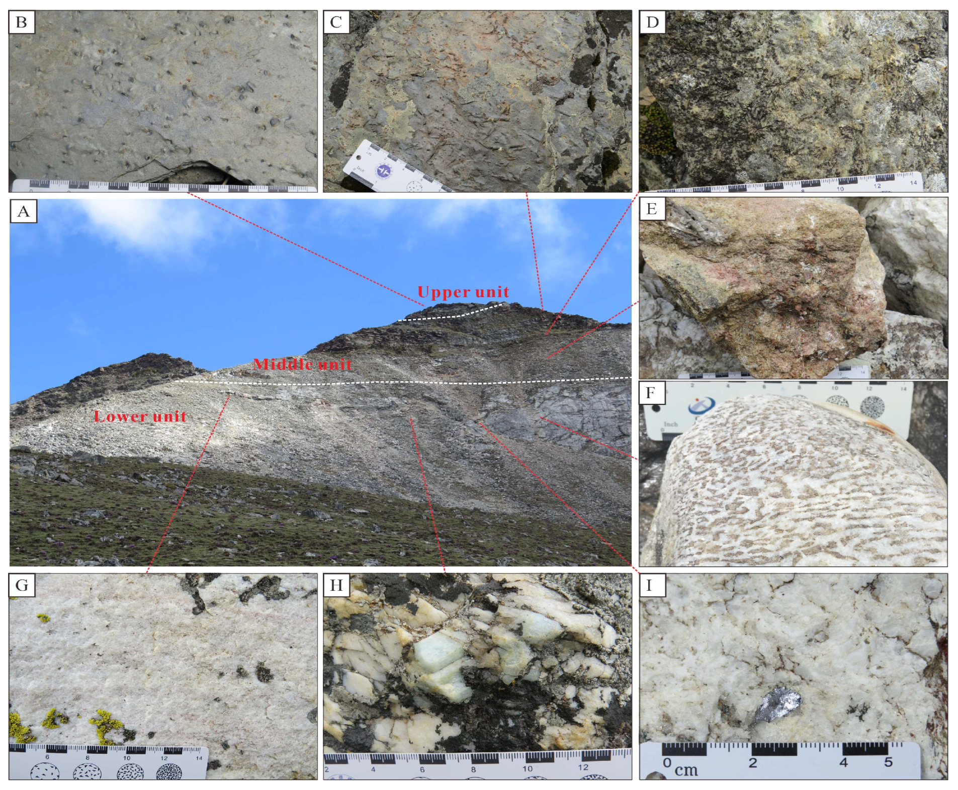 Minerals 13 01456 g004