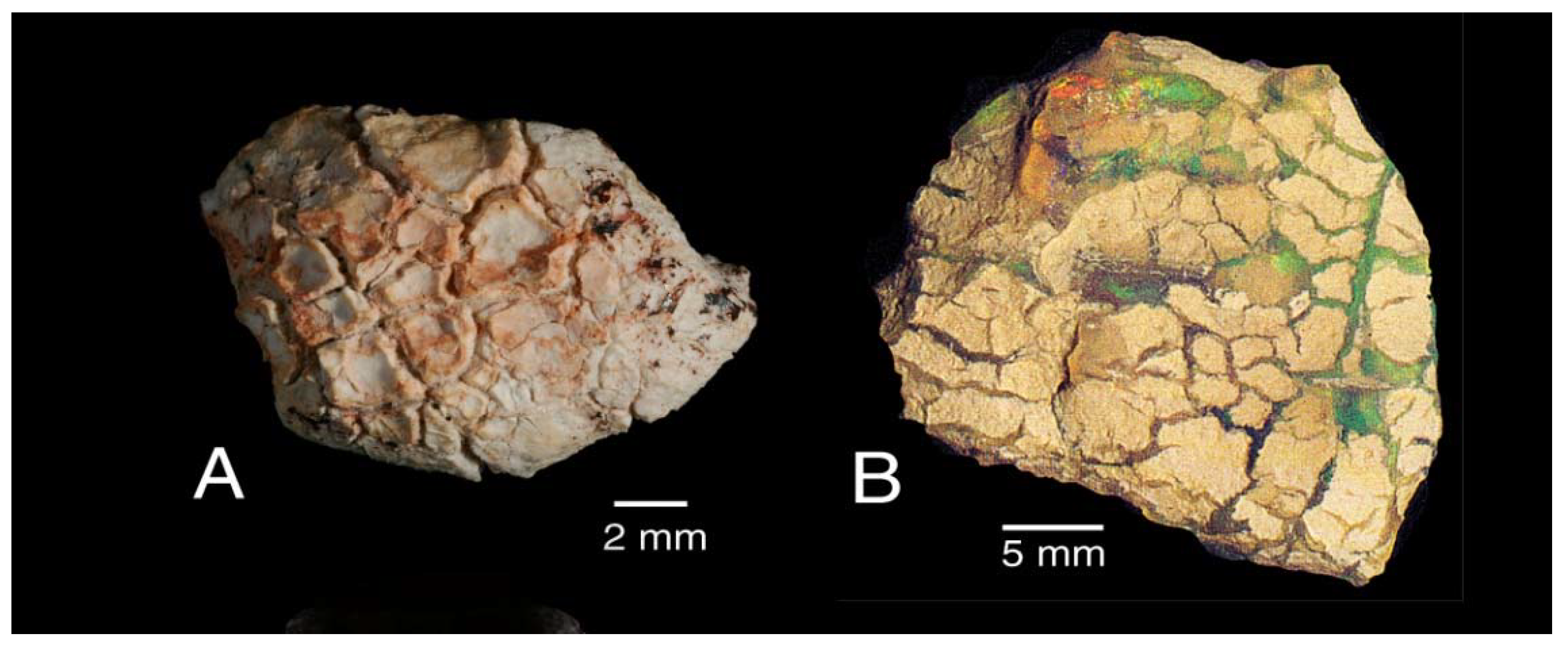 Minerals 13 01471 g005
