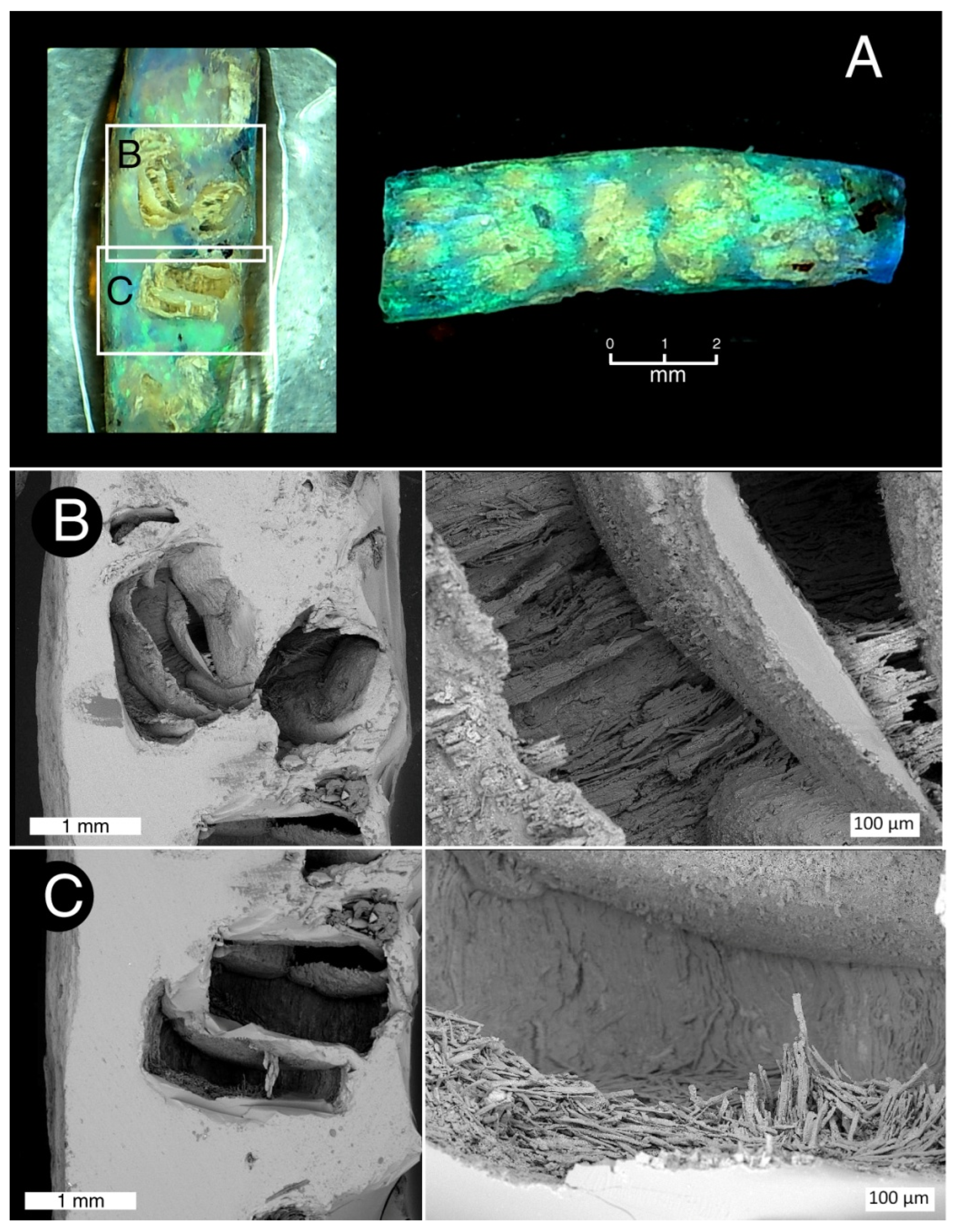 Minerals 13 01471 g012